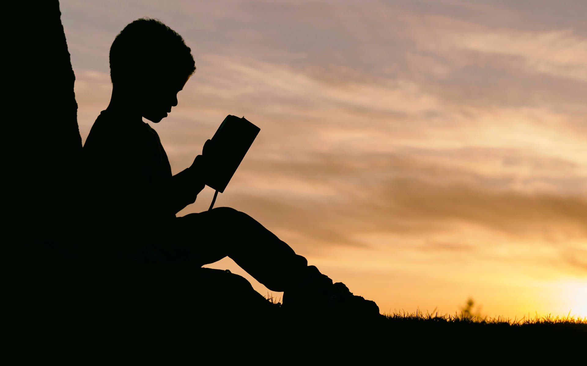 Silhouette Boy Reading Book