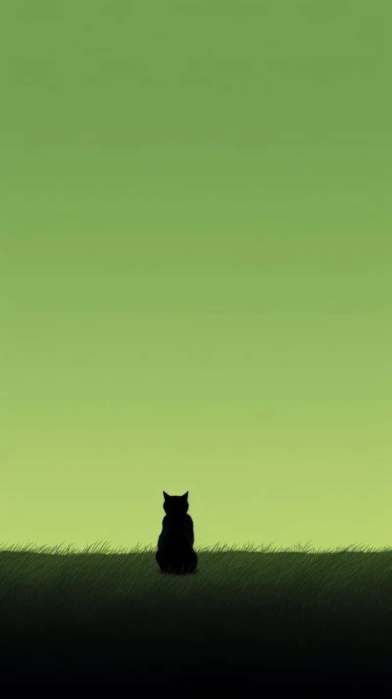 Silhouette Cat Green Gradient Background Background