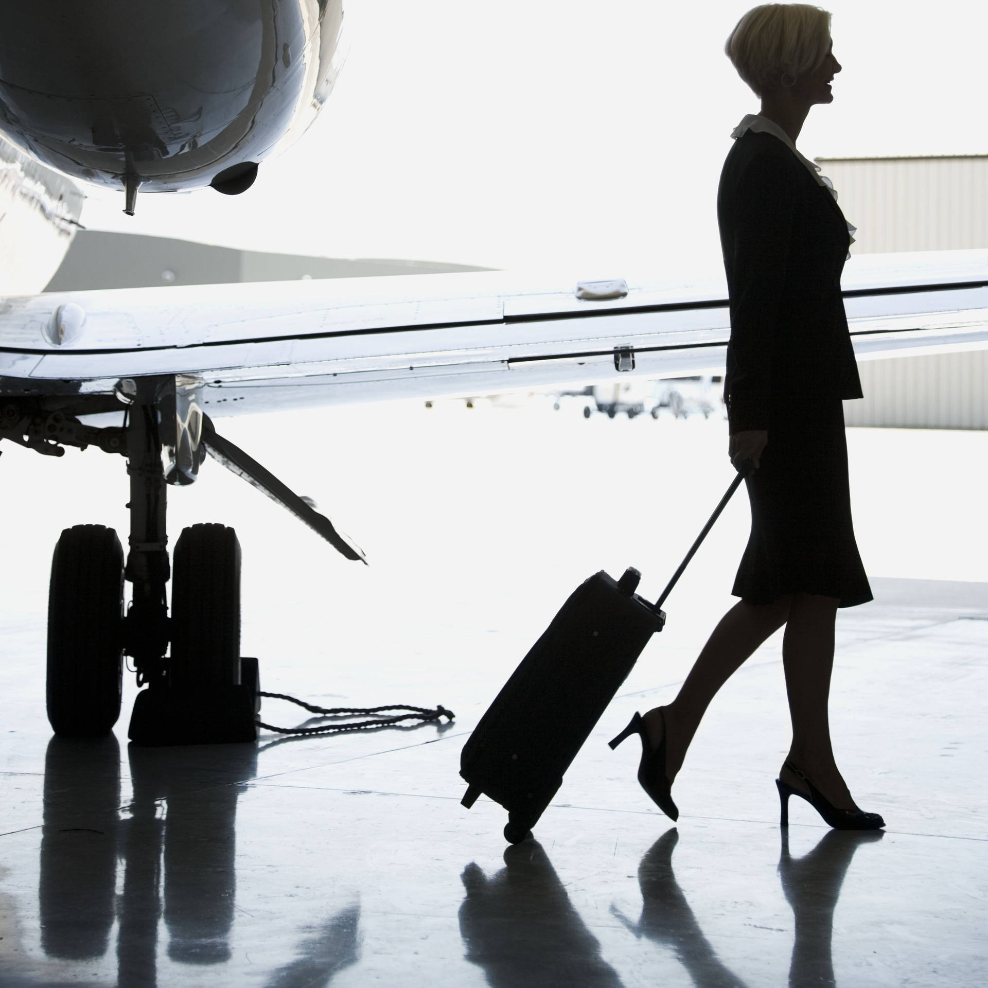 Silhouette Flight Attendant Background