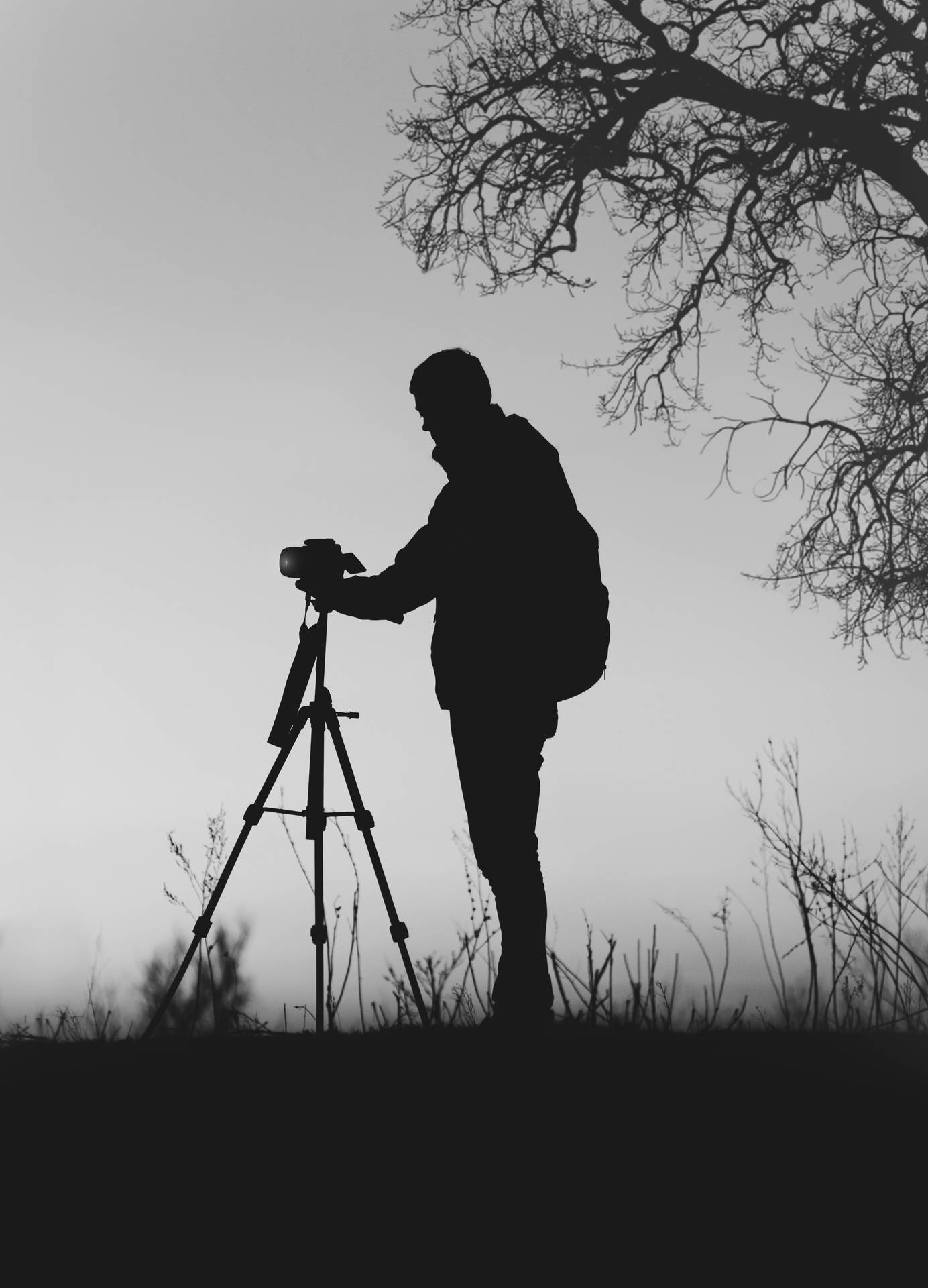 Silhouette Grayscale Photography Background