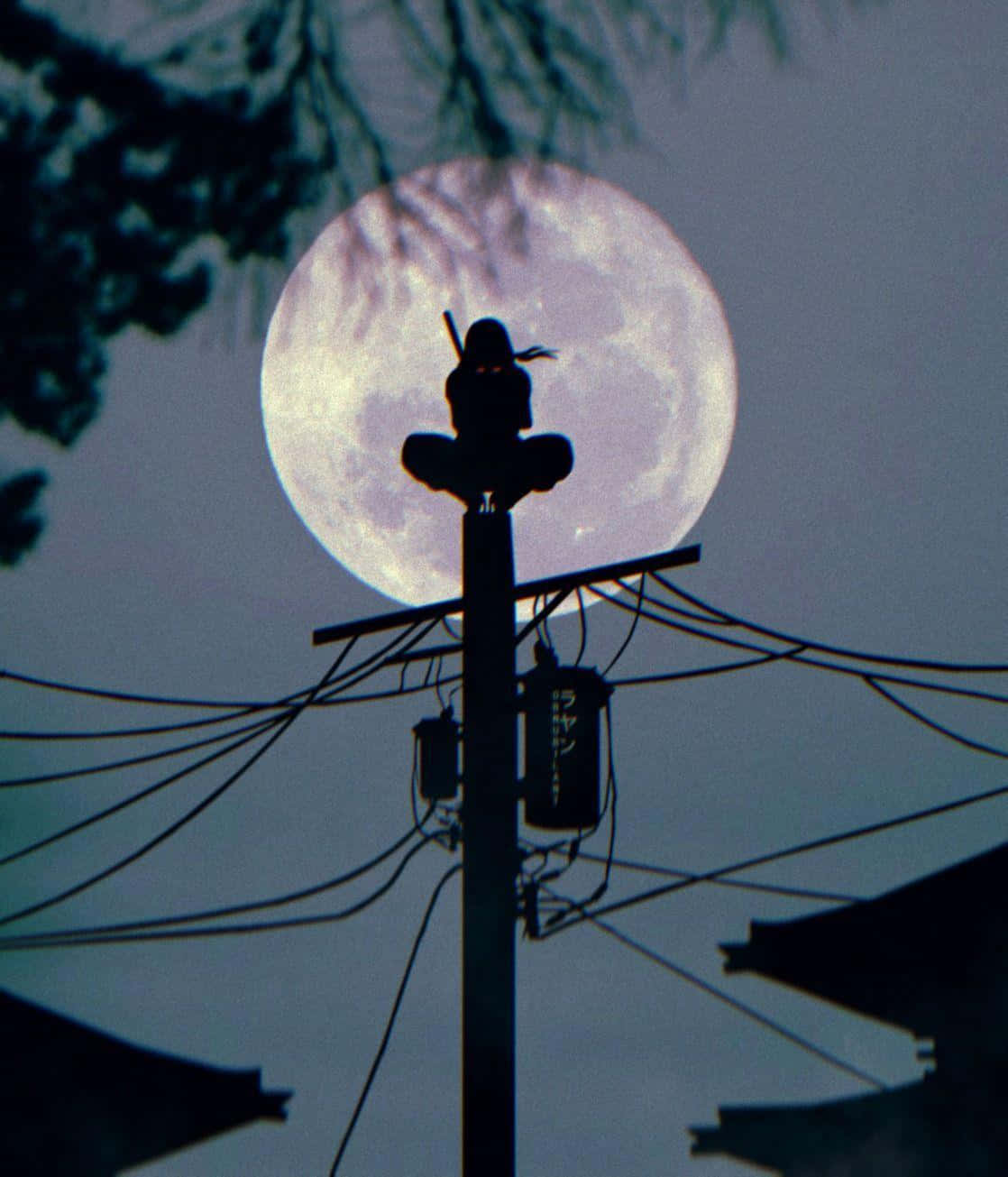 Silhouette Ninja Moon Backdrop Background