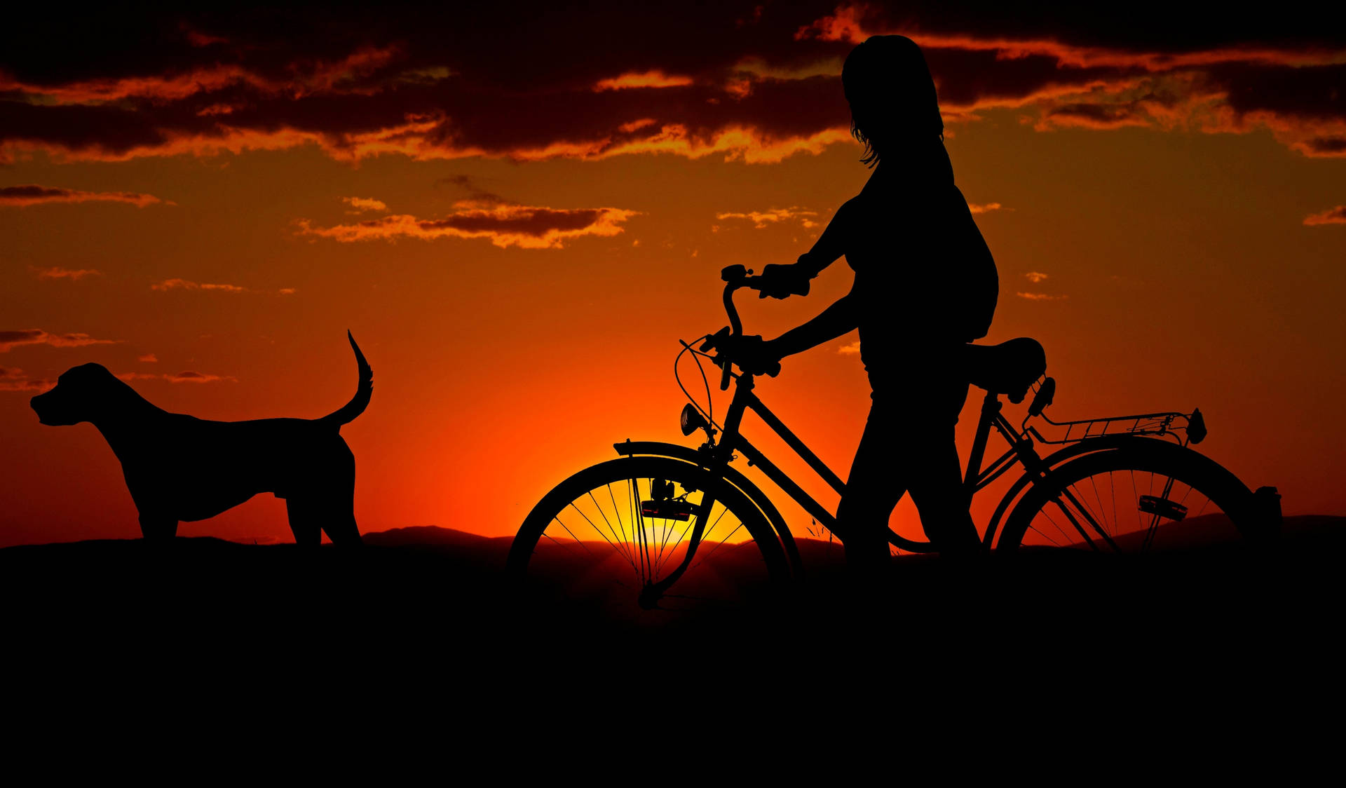 Silhouette Of A Dog And Girl In A Sunset Background