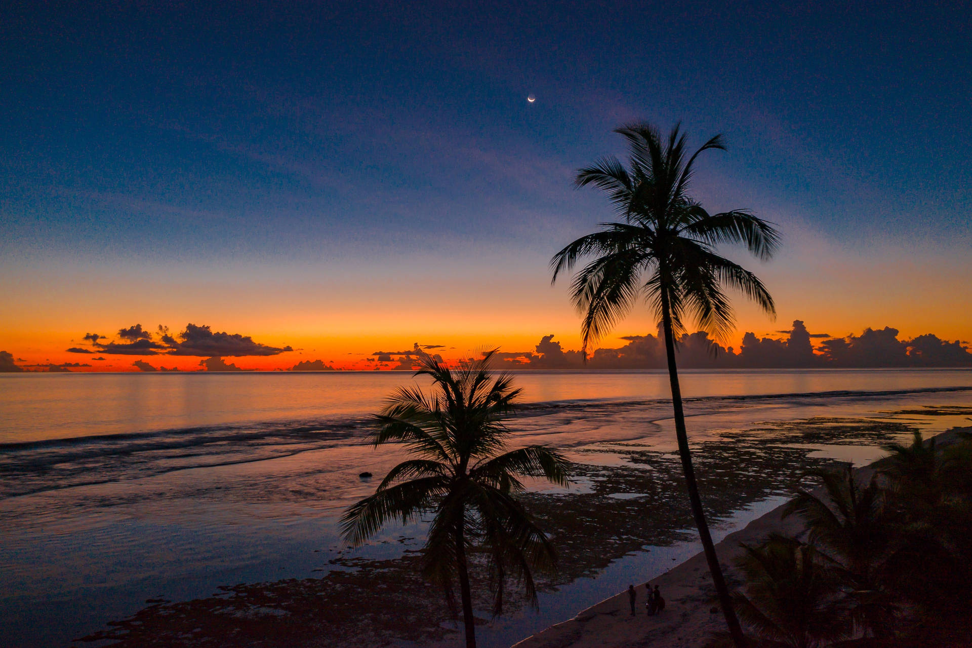 Silhouette Of Coconut Trees And Orange Horizon Background