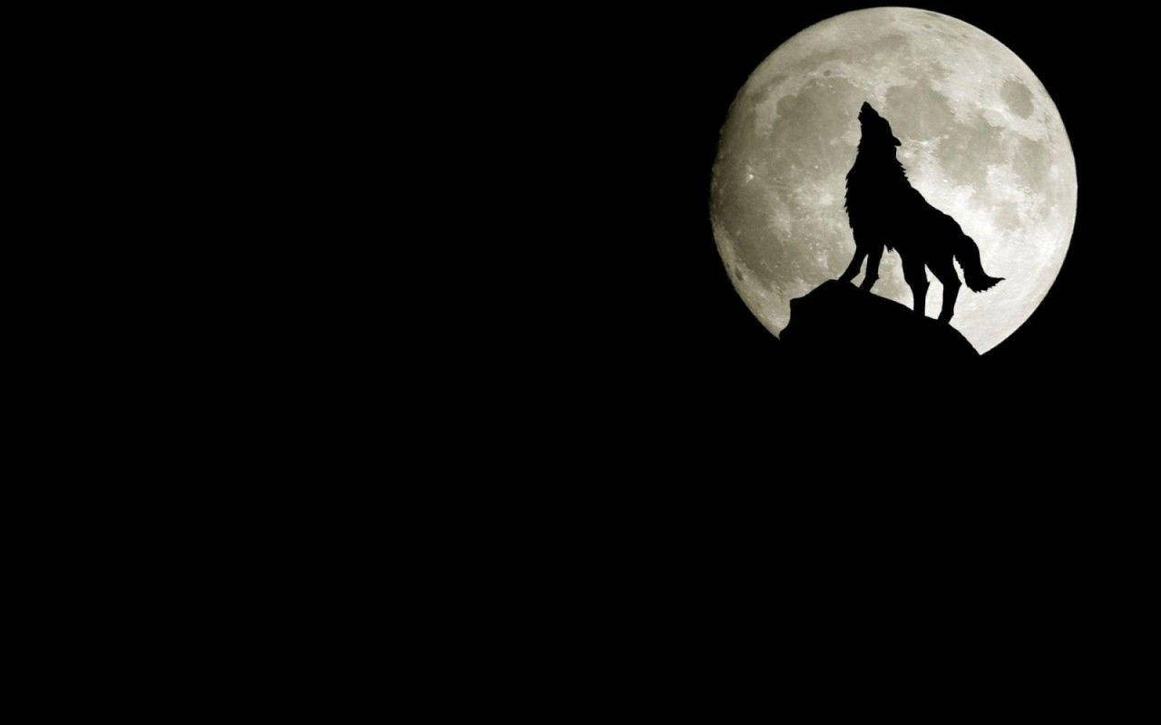 Silhouette Of Cool Black Wolf On Full Moon Background