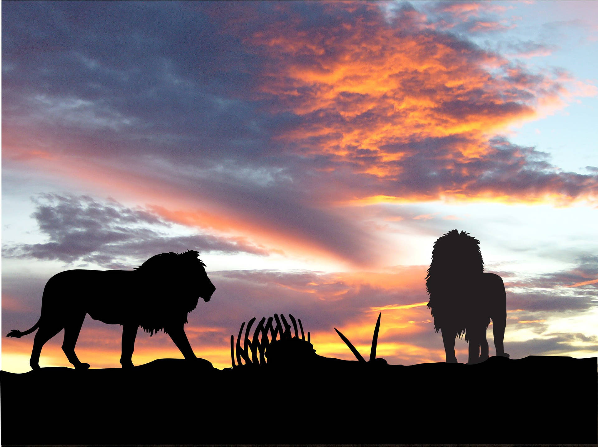 Silhouette Of Lion Laptop Background