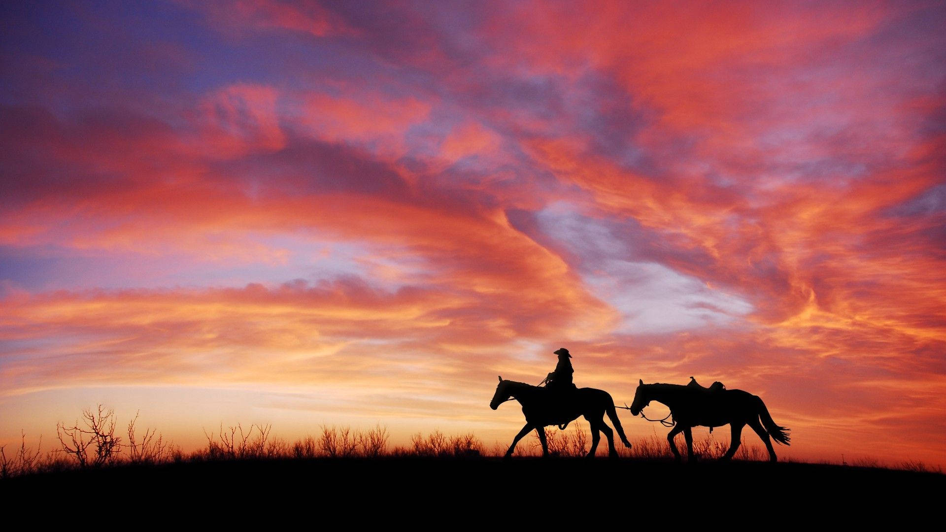 Silhouette Of Man With Beautiful Horses Background