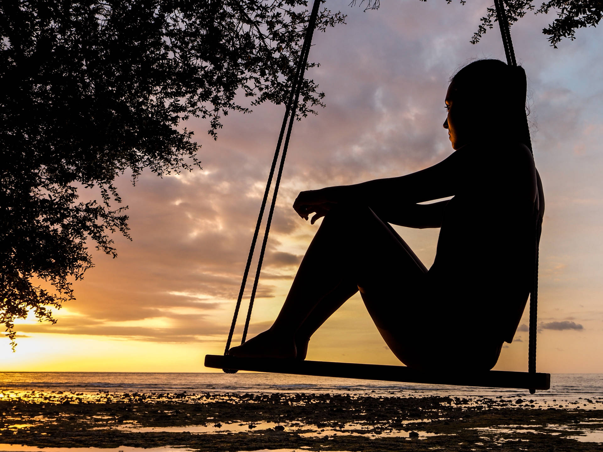 Silhouette Woman On Swing Background
