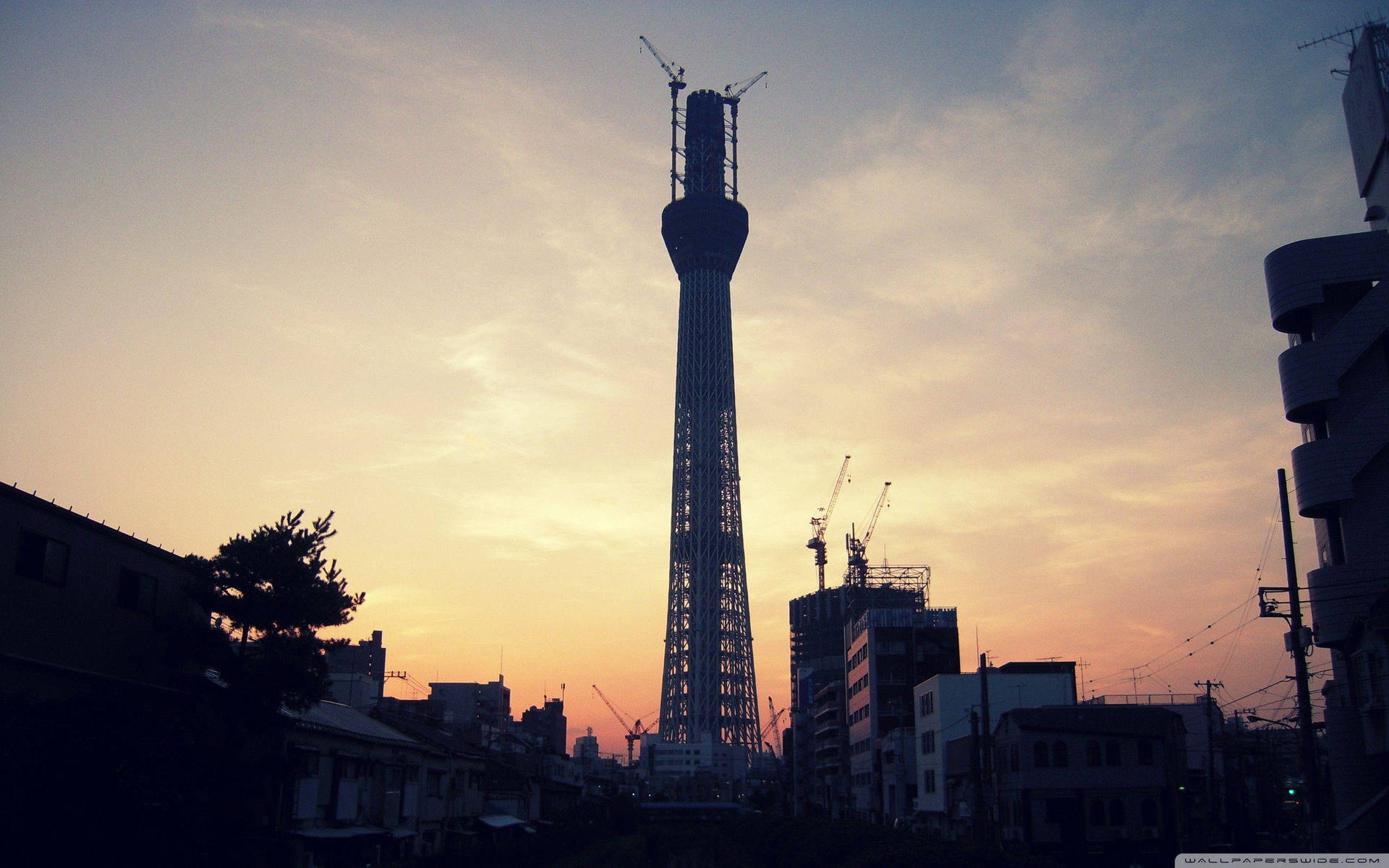 Silhouetted High-rise Building Under Construction