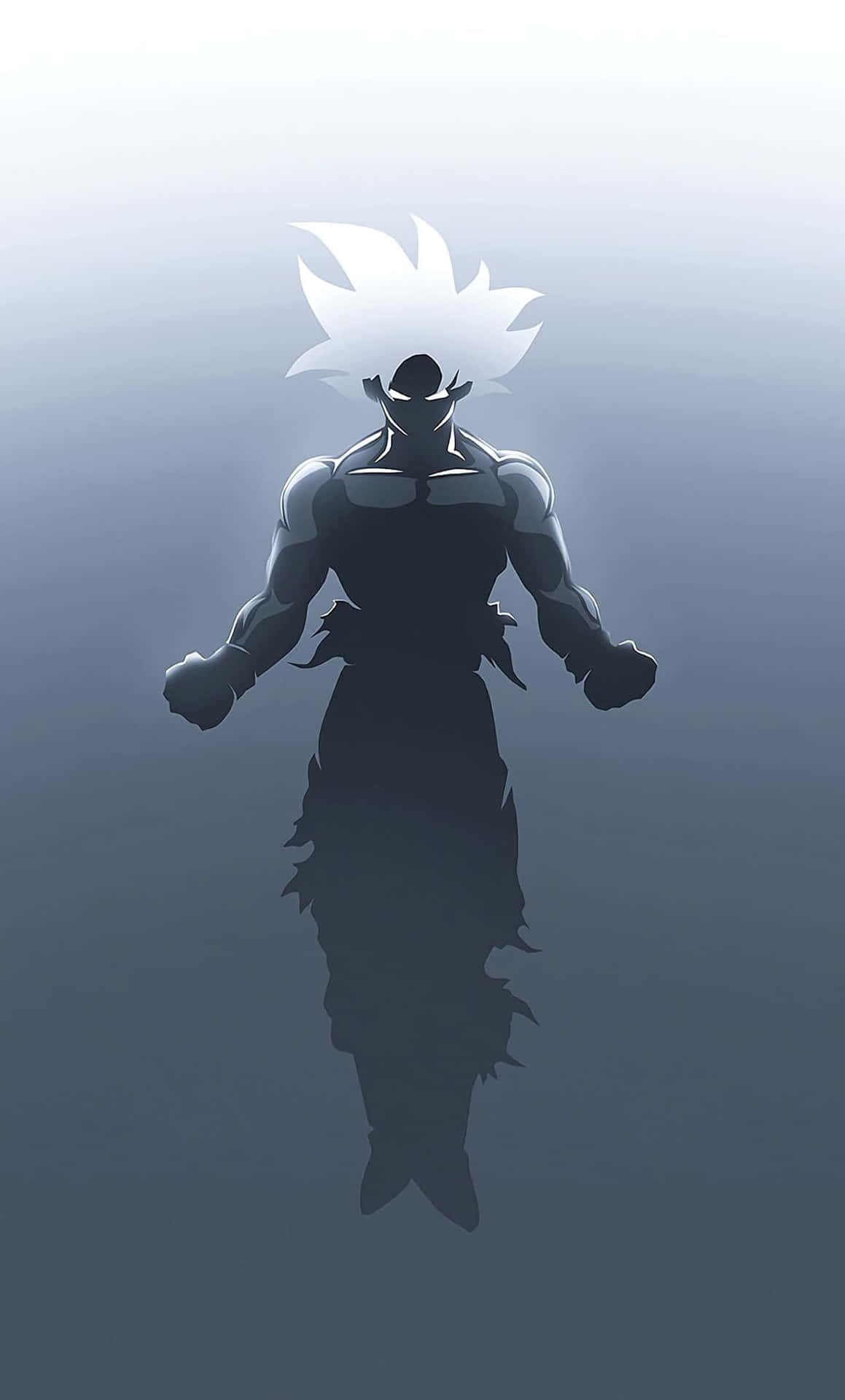 Silhouetteof Goku Floating