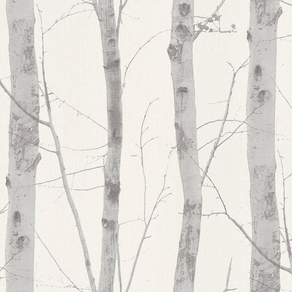 Silver Birch Tree Art Background
