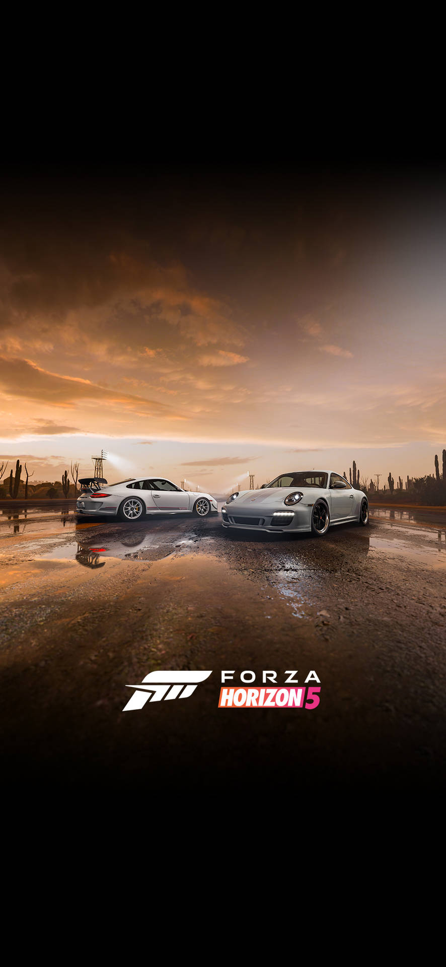 Silver Forza Iphone Sunset Background