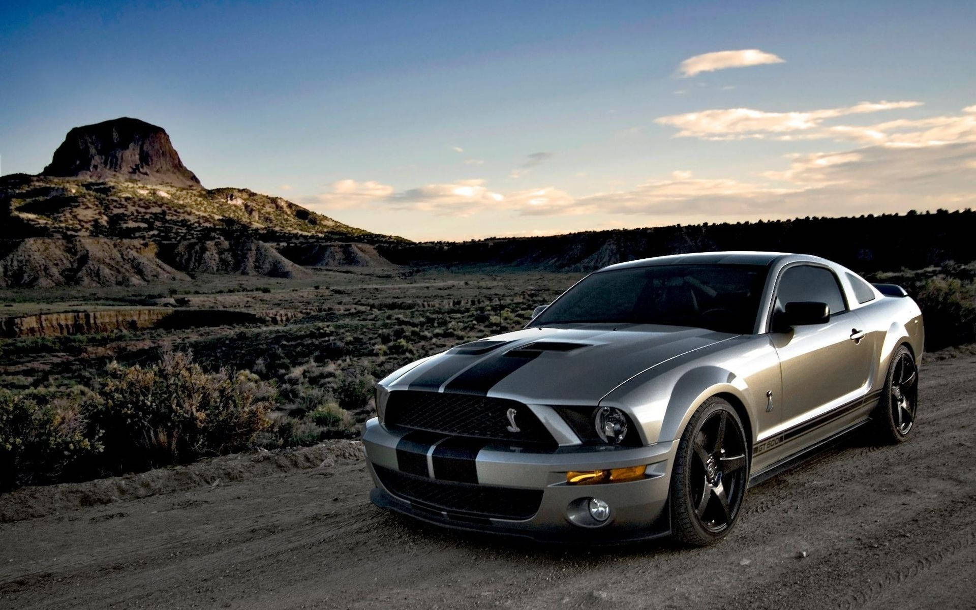 Silver Metallic Ford Mustang Shelby Background