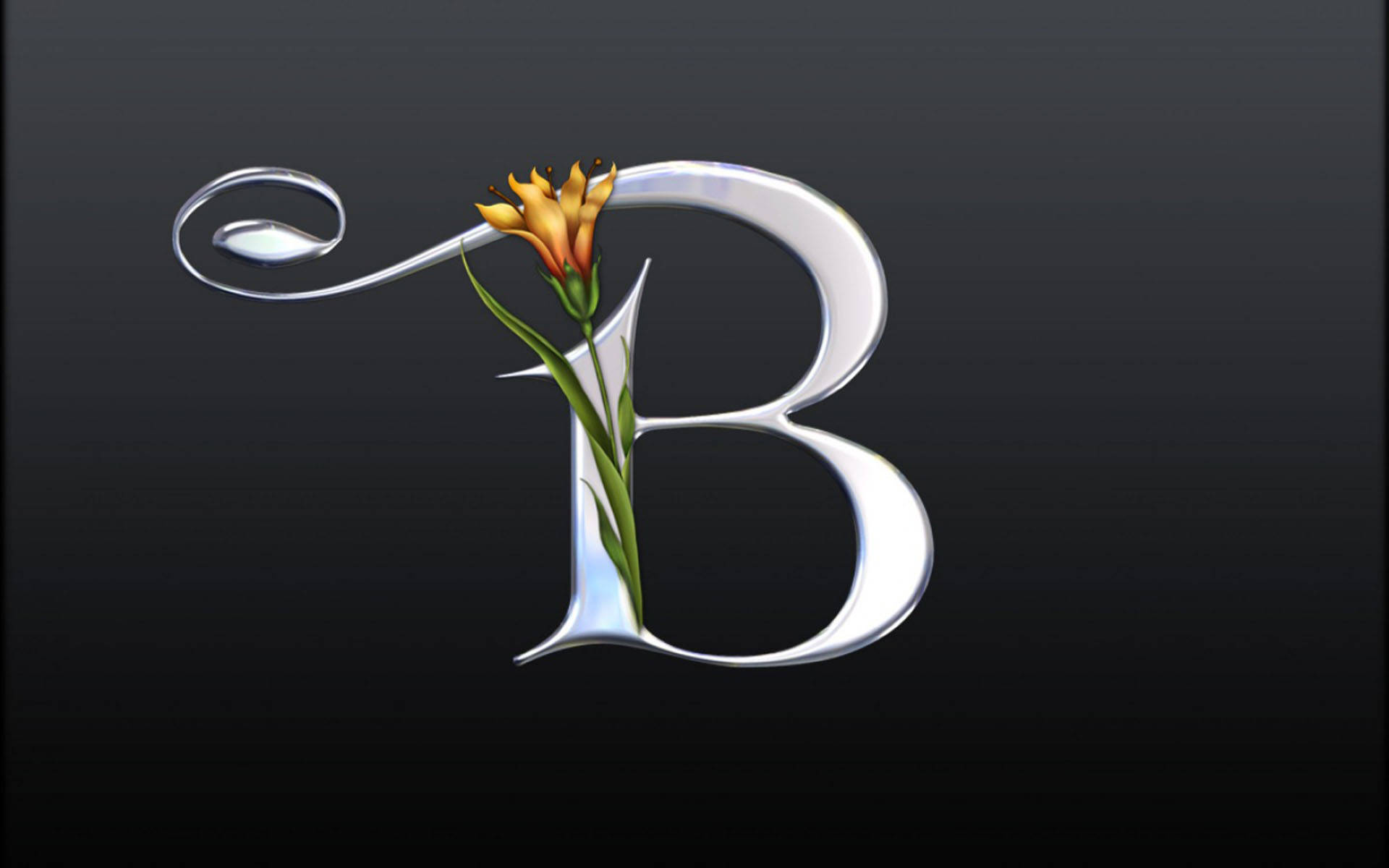 Silver Plated Letter B Background