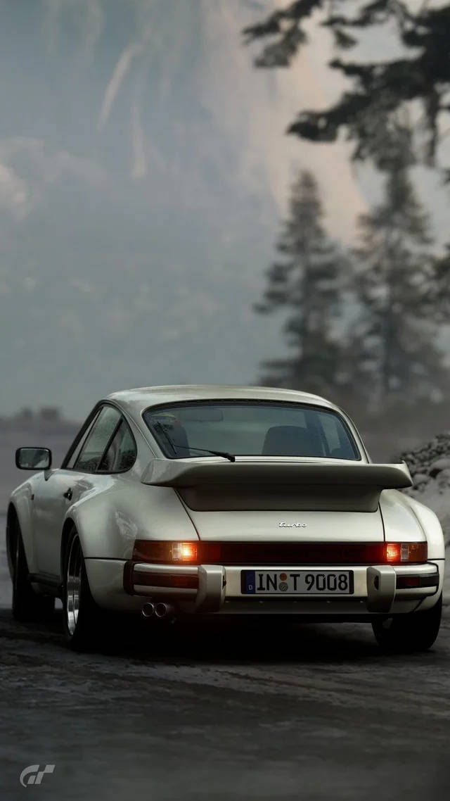 Silver Porsche 911 By The Trees