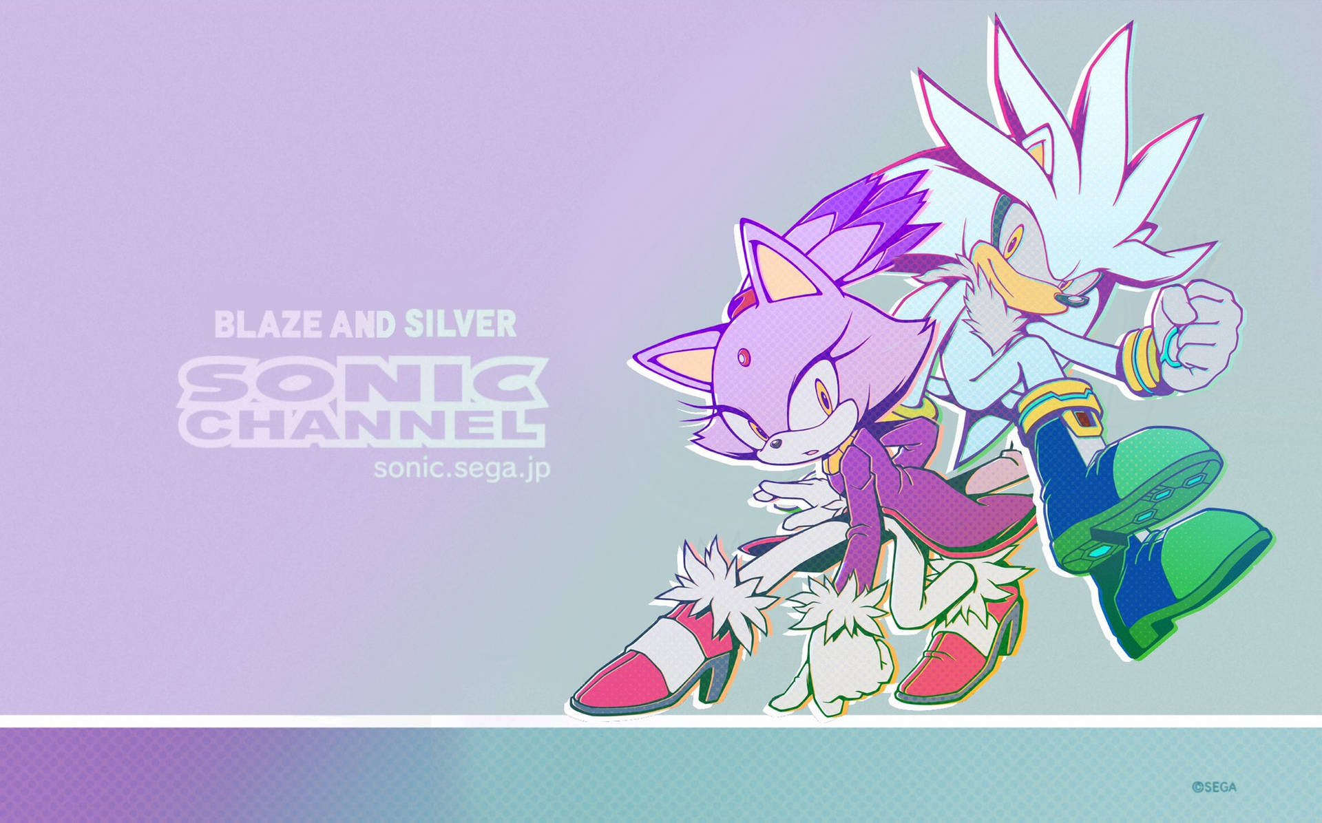 Silver The Hedgehog And Blaze Background