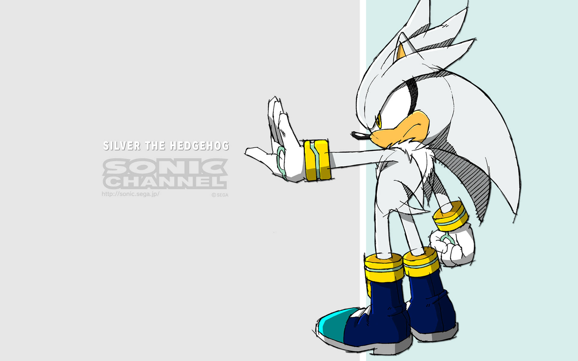 Silver The Hedgehog Gray And Mint Background