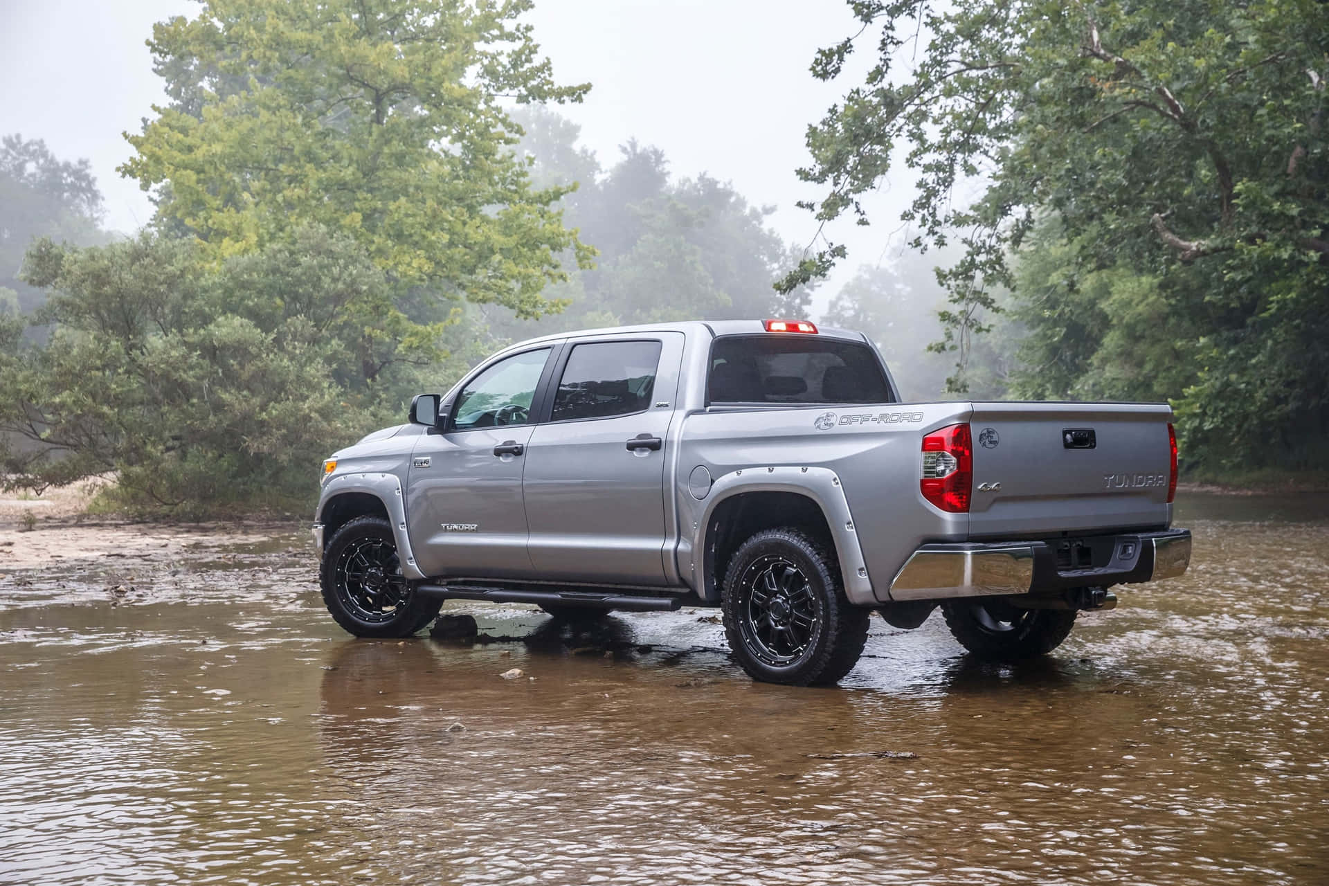 Silver Tundra In Shallow River Background