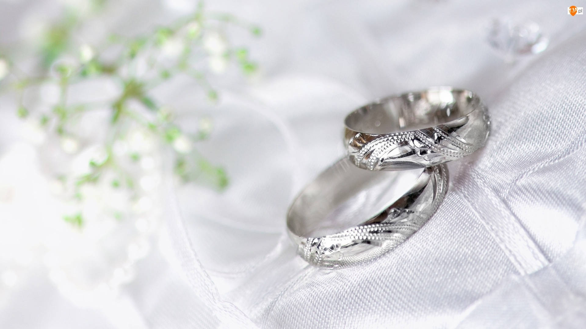 Silver Wedding Rings Background