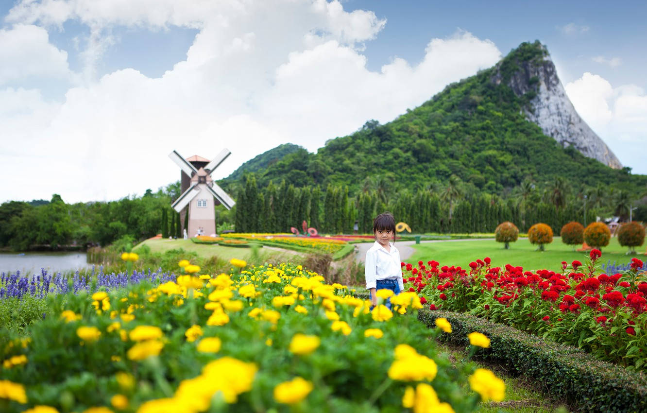 Silverlake Vineyard In Pattaya Background