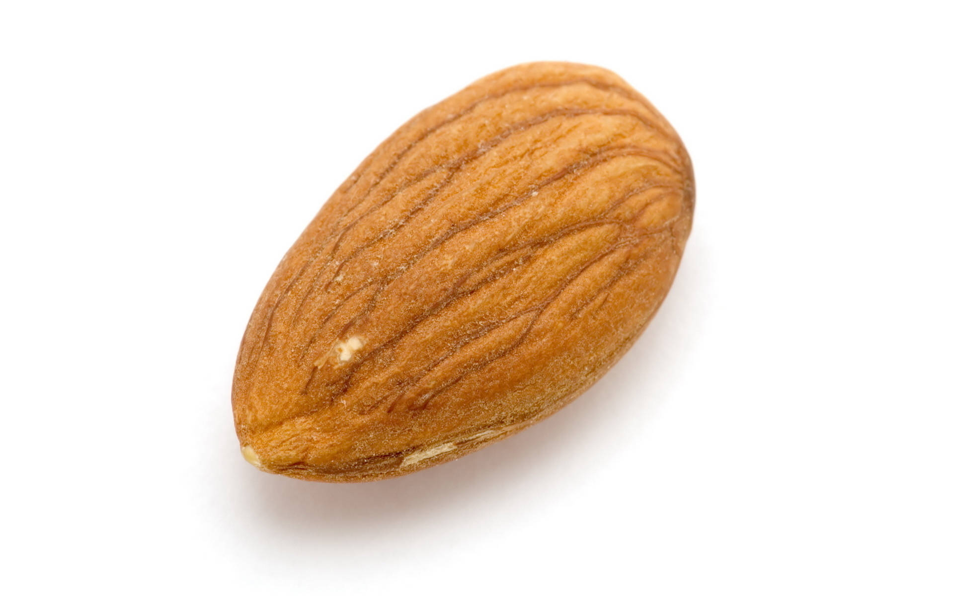 Simple Almond Nut Background