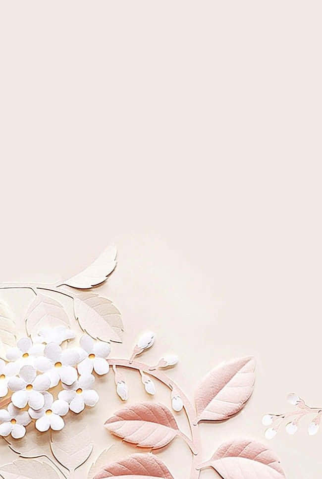 Simple And Elegant White Flower Background