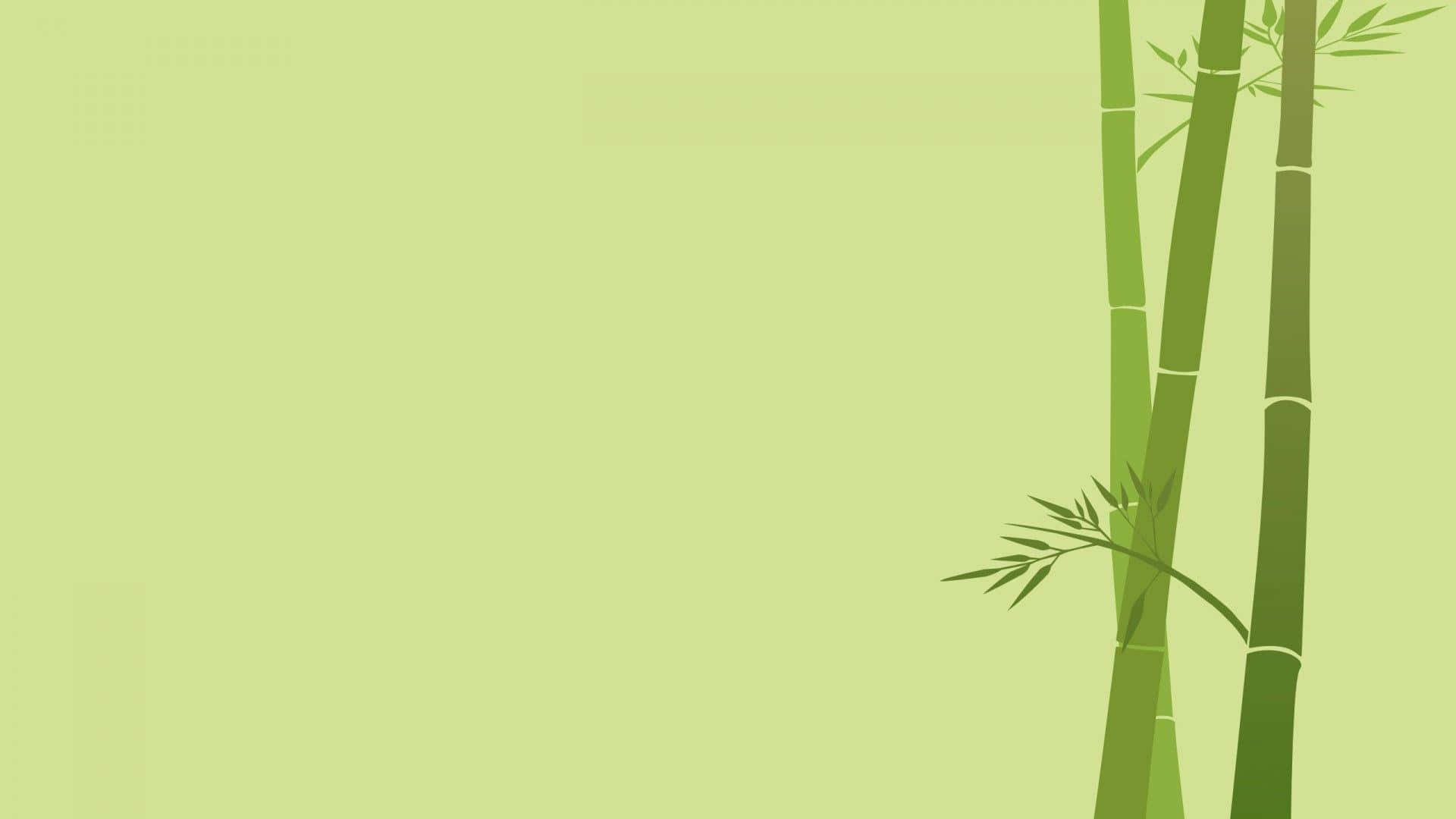 Simple And Minimalist Bamboo Desktop Background