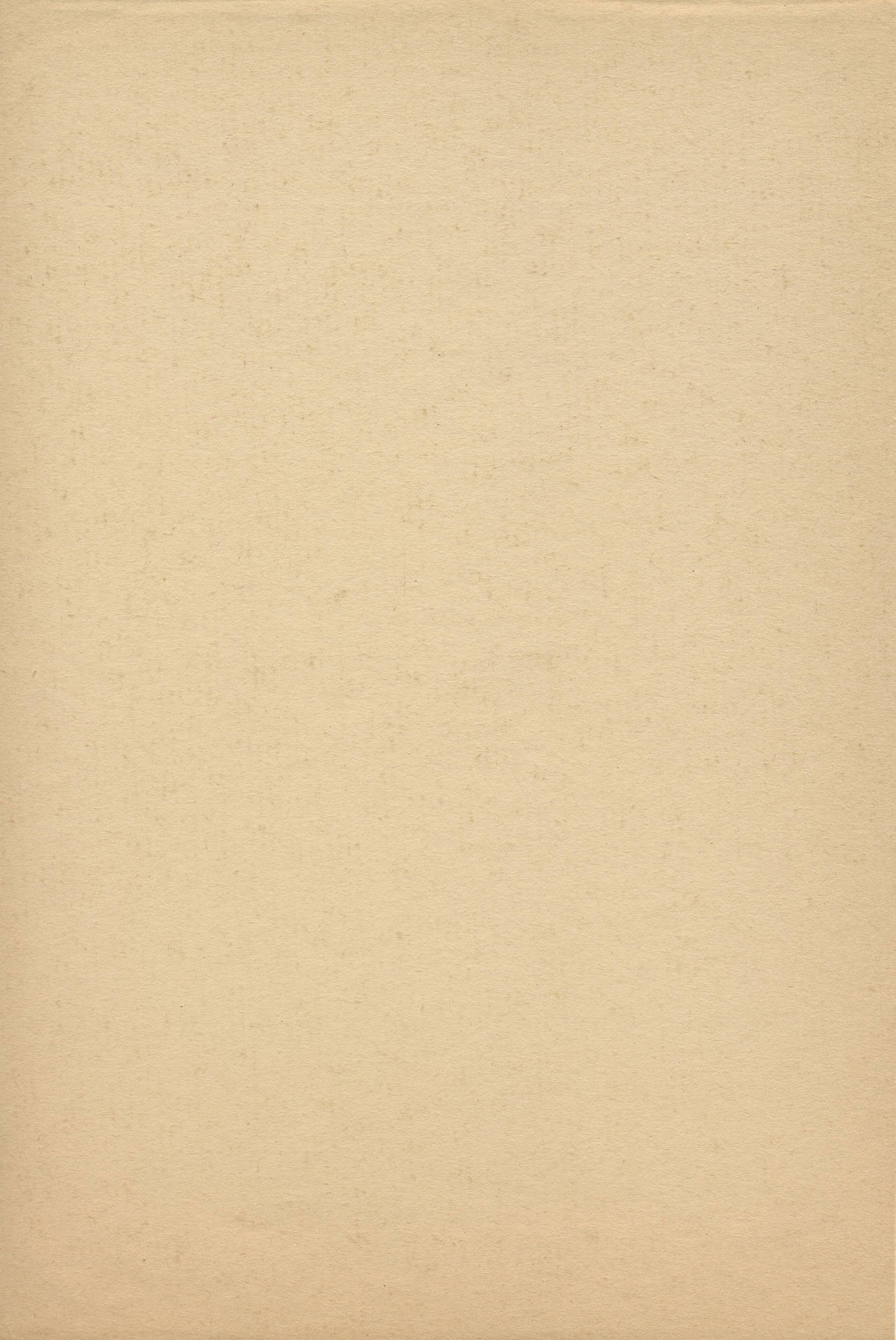 Simple And Plain Beige Background