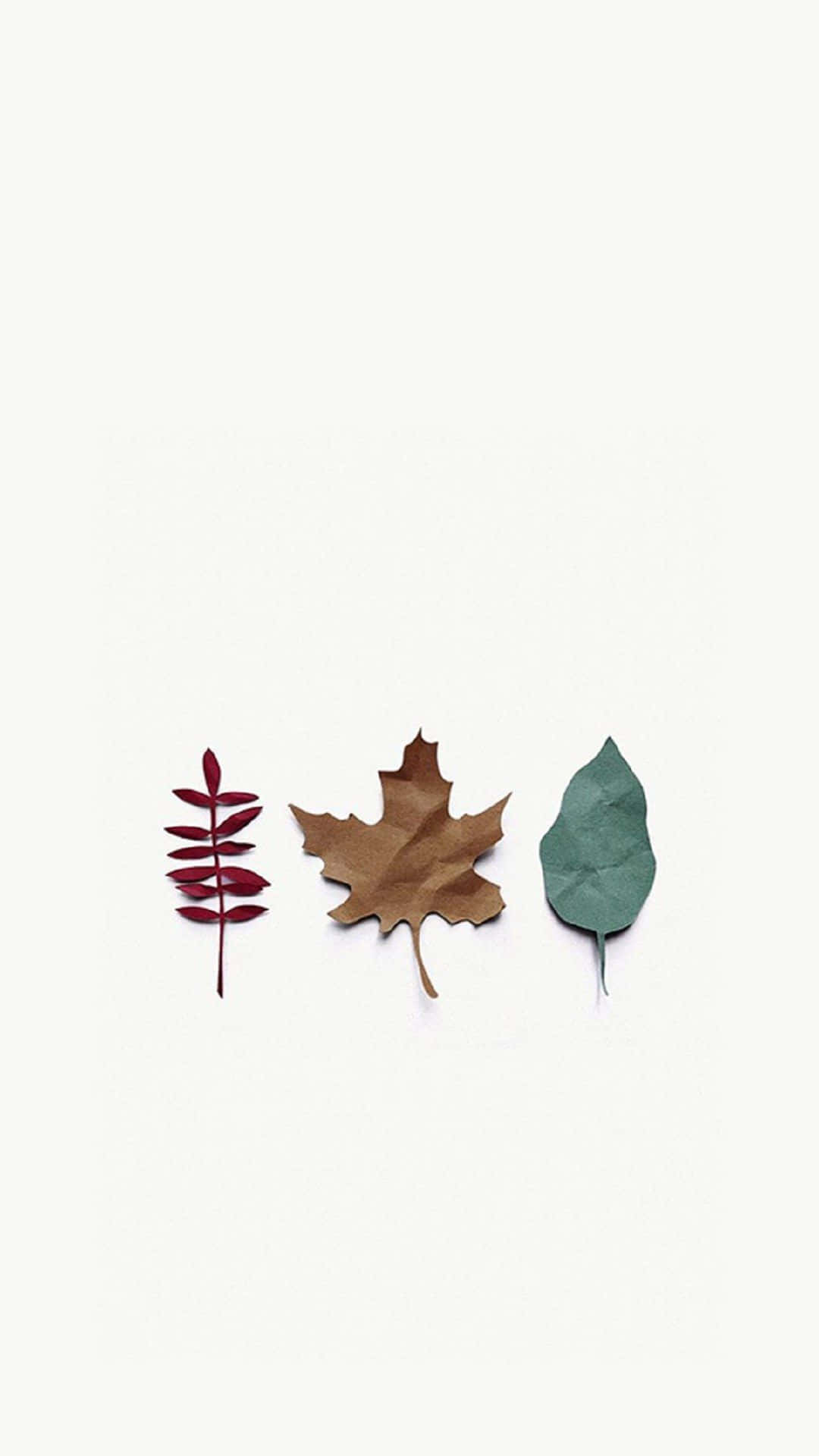 Simple Autumn Iphone Screen Theme Background