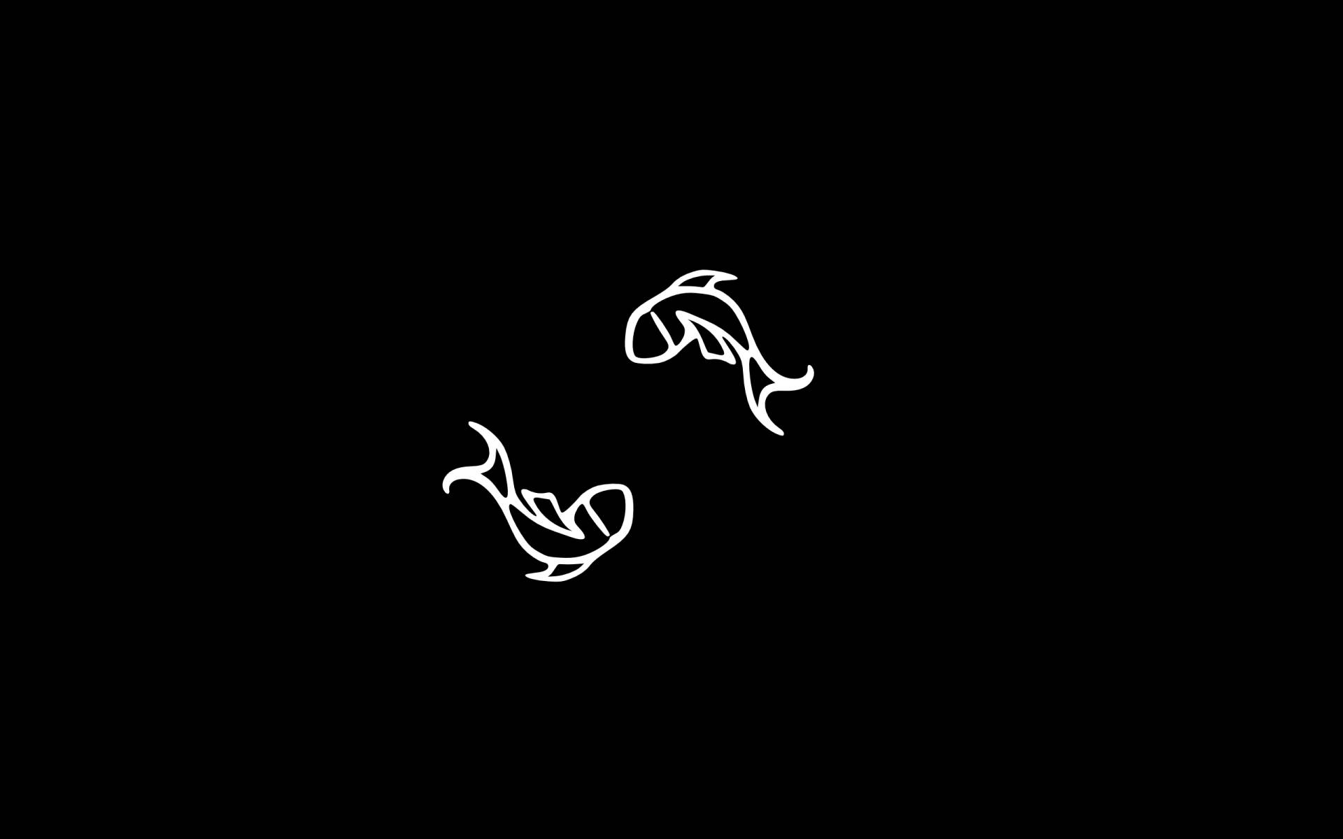 Simple Black And White Pisces Fish Background
