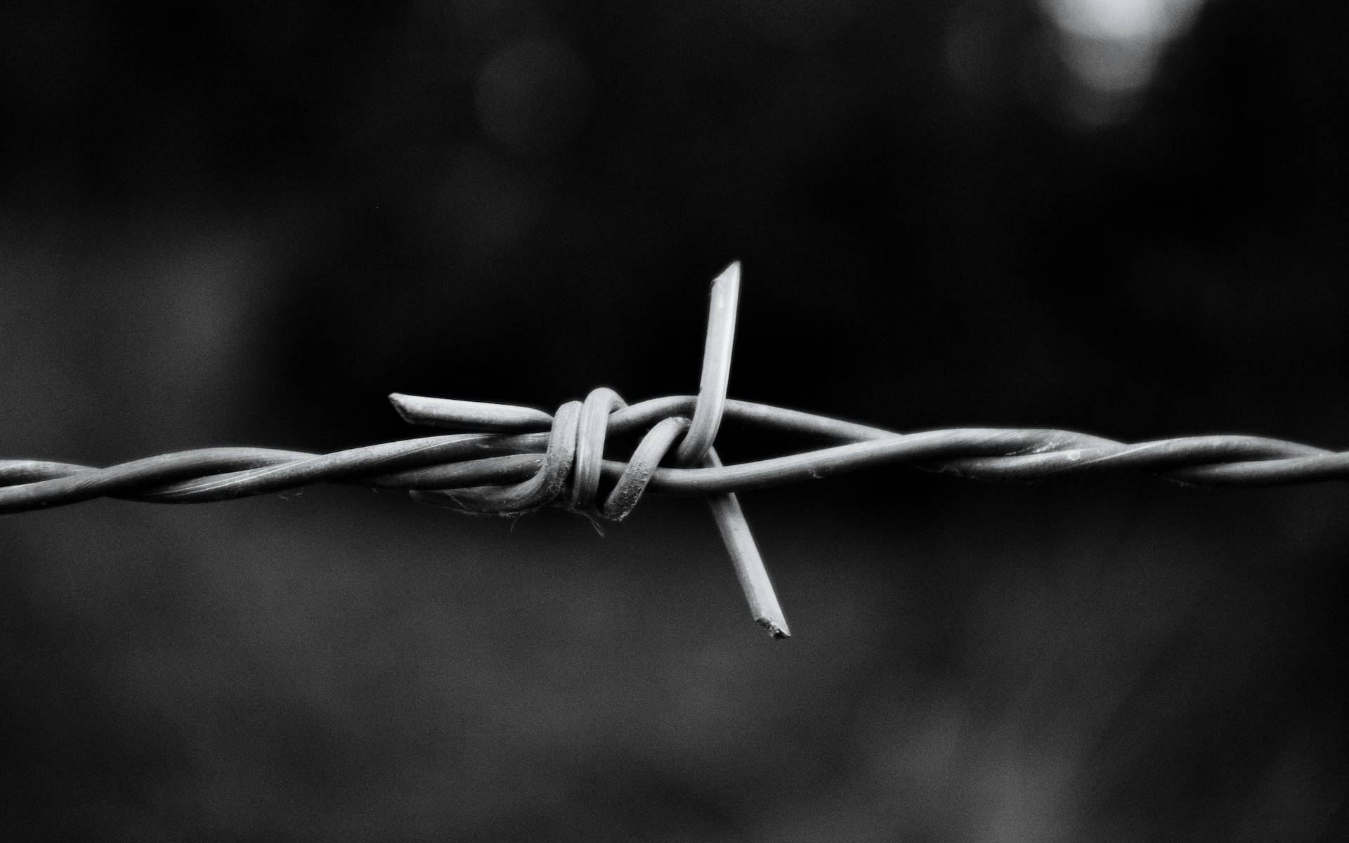Simple Black Barbed Wire Close-up Background