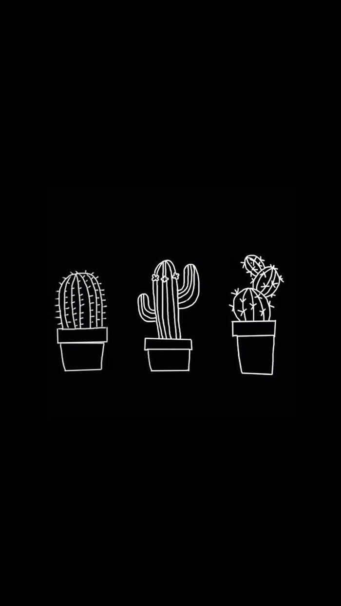 Simple Black Cactus Drawings Background