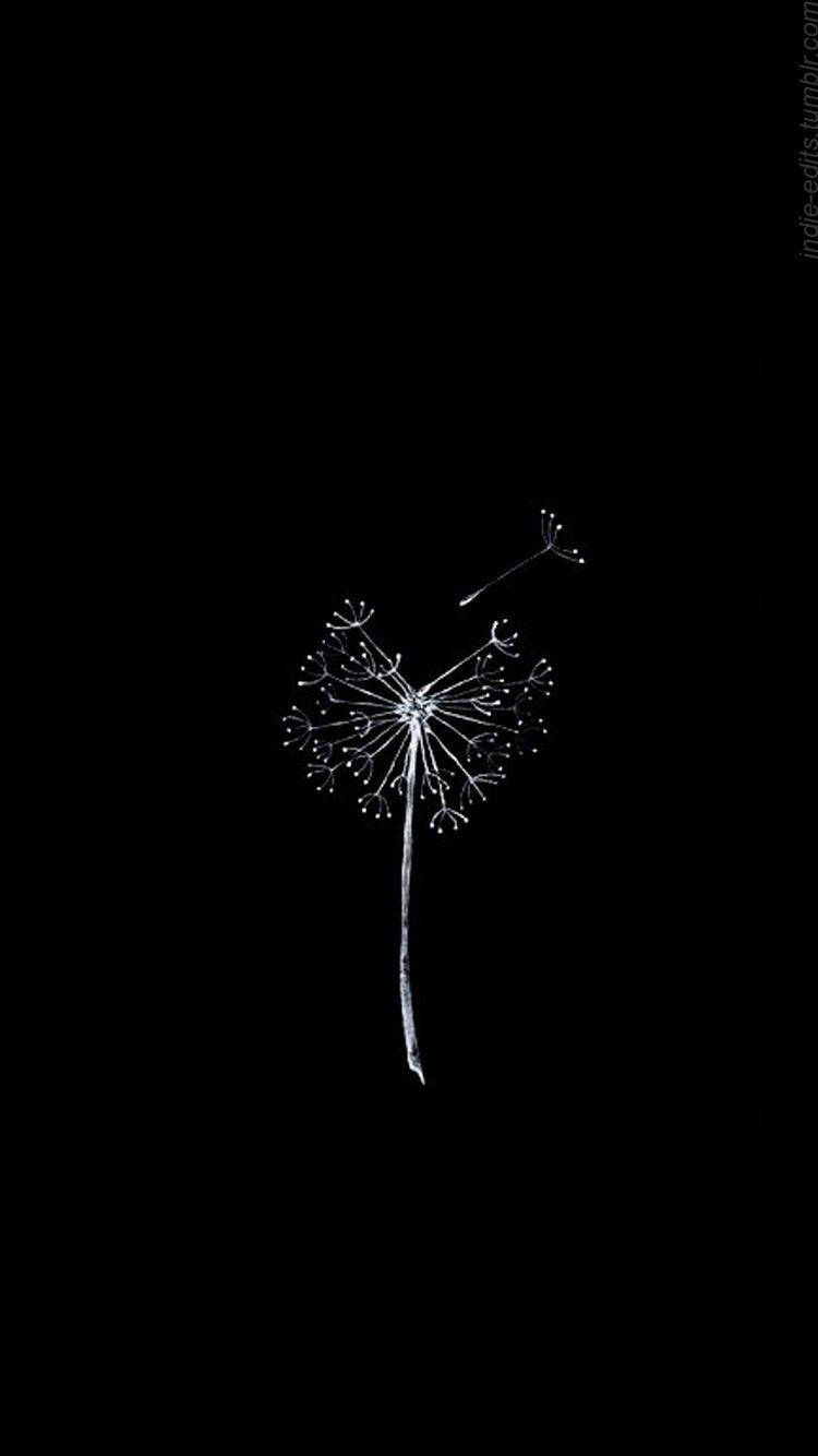 Simple Black Dandelion Blowing Away Background