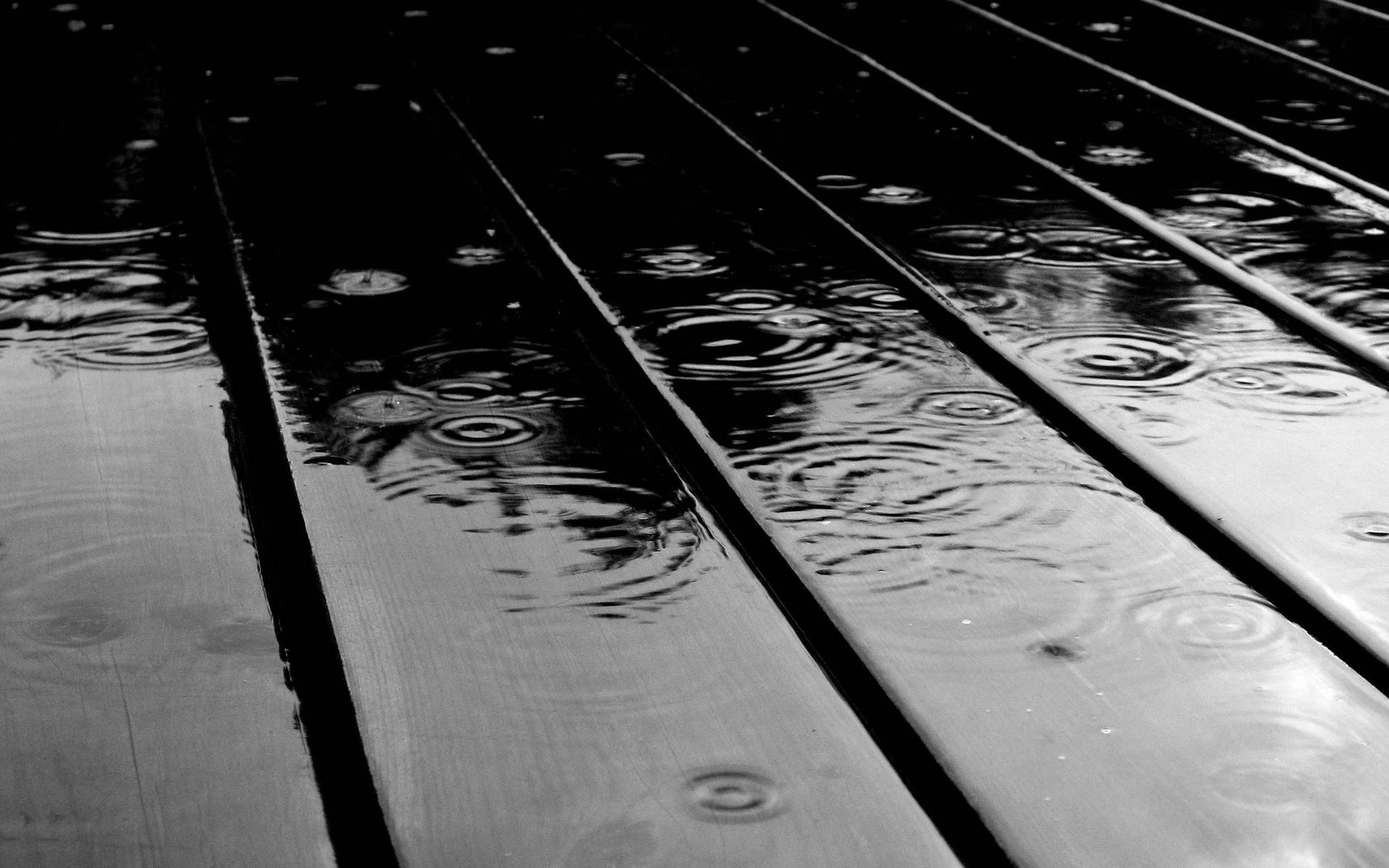 Simple Black Rain On Wooden Panels