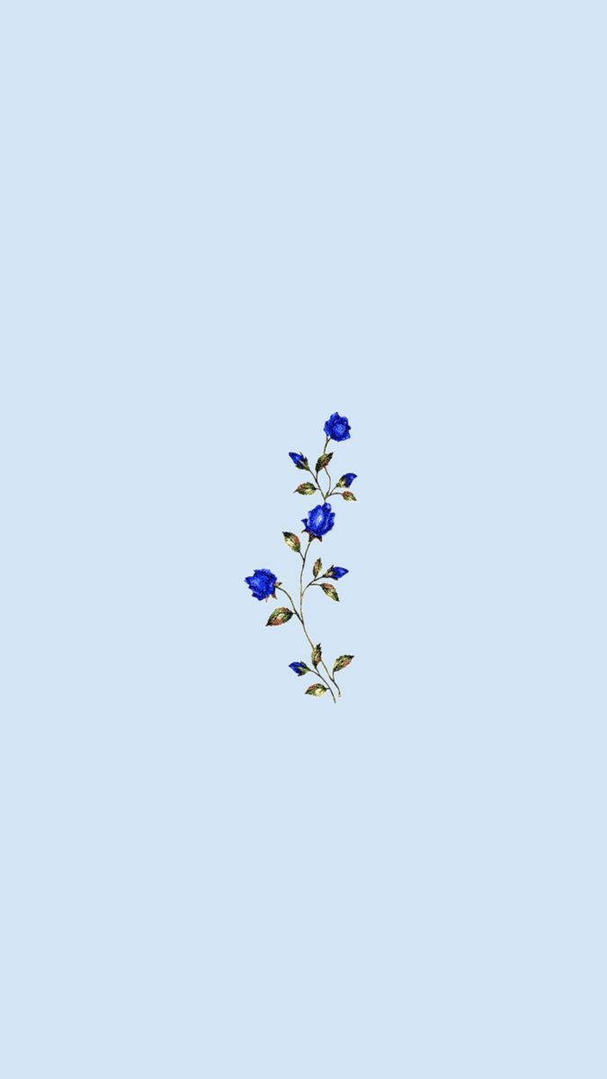 Simple Blue Aesthetic Blue Roses