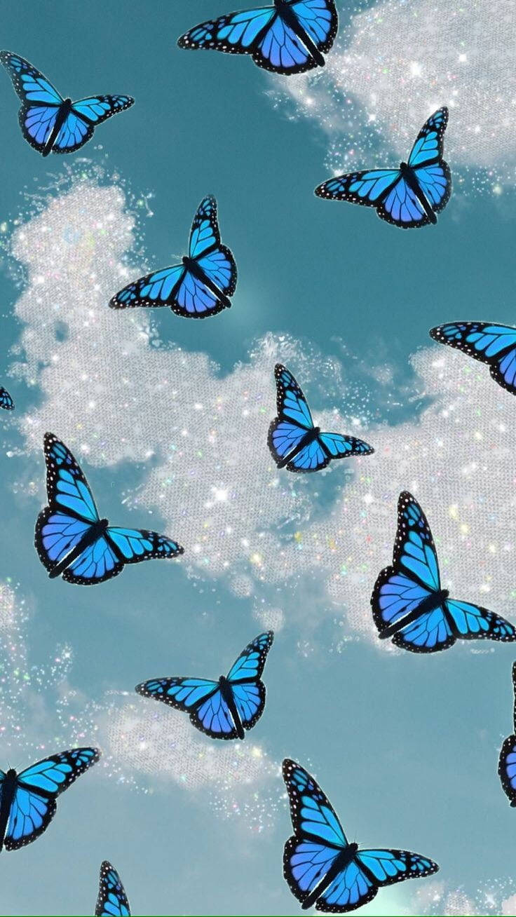 Simple Blue Aesthetic Butterflies Background