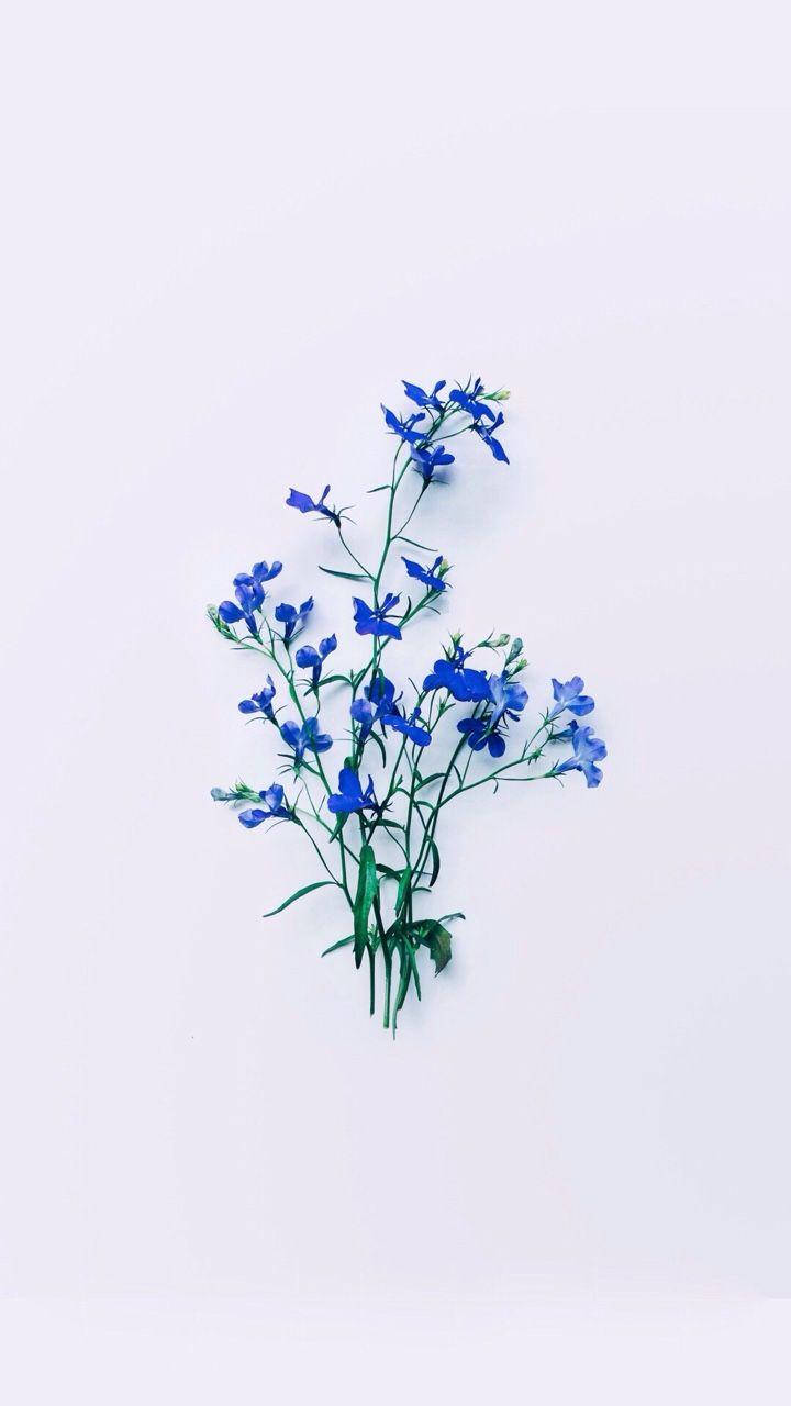 Simple Blue Flowers Aesthetic