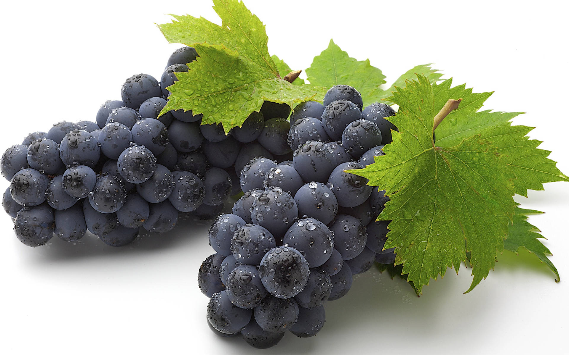 Simple Concord Grape Background