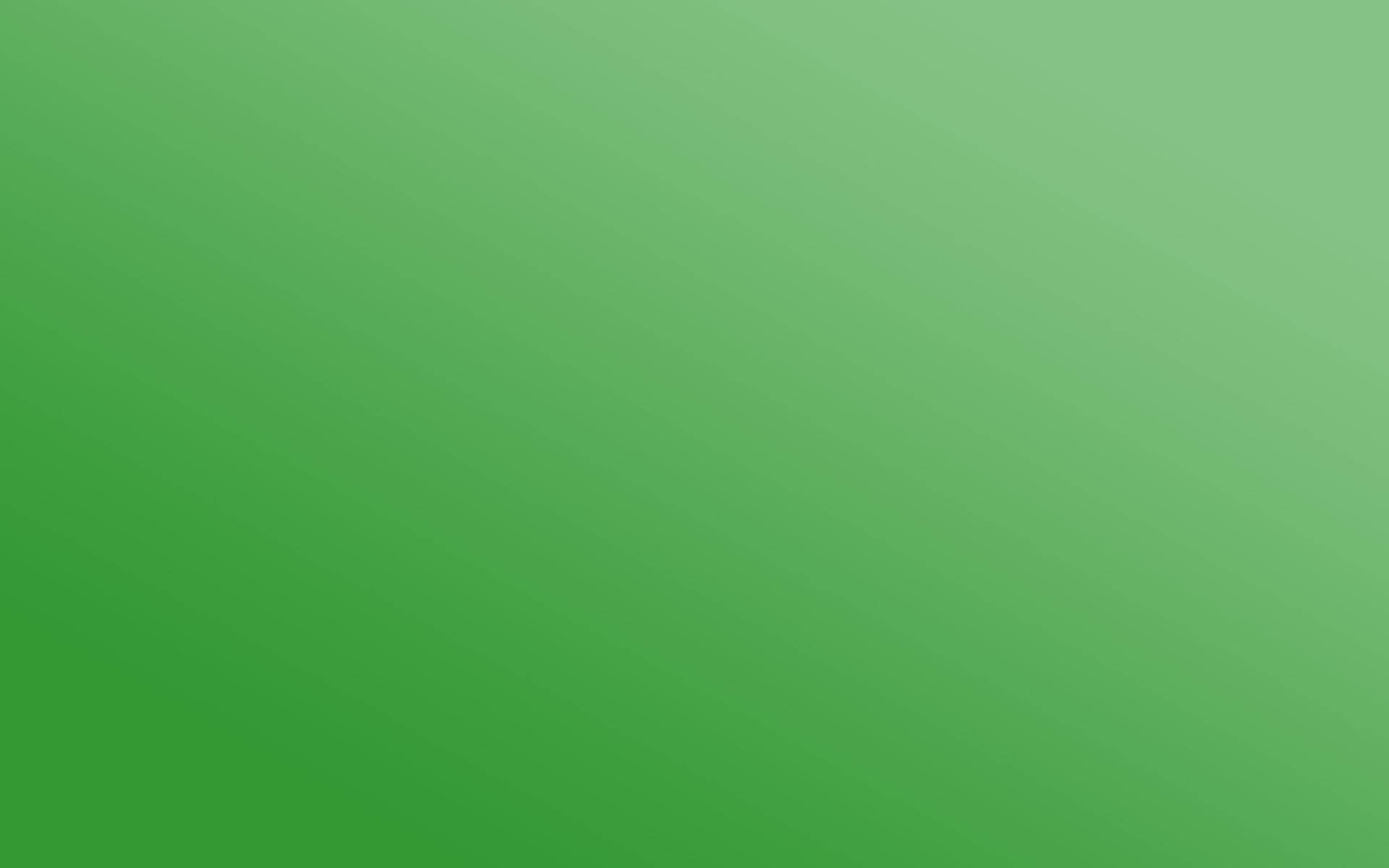 Simple Emerald Green Color Hd Gradient Background