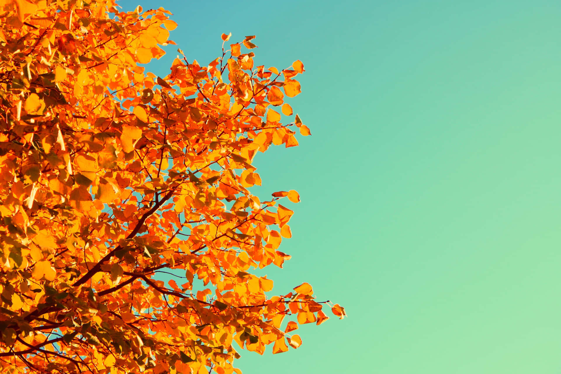 Simple Fall Gradient Blue Background