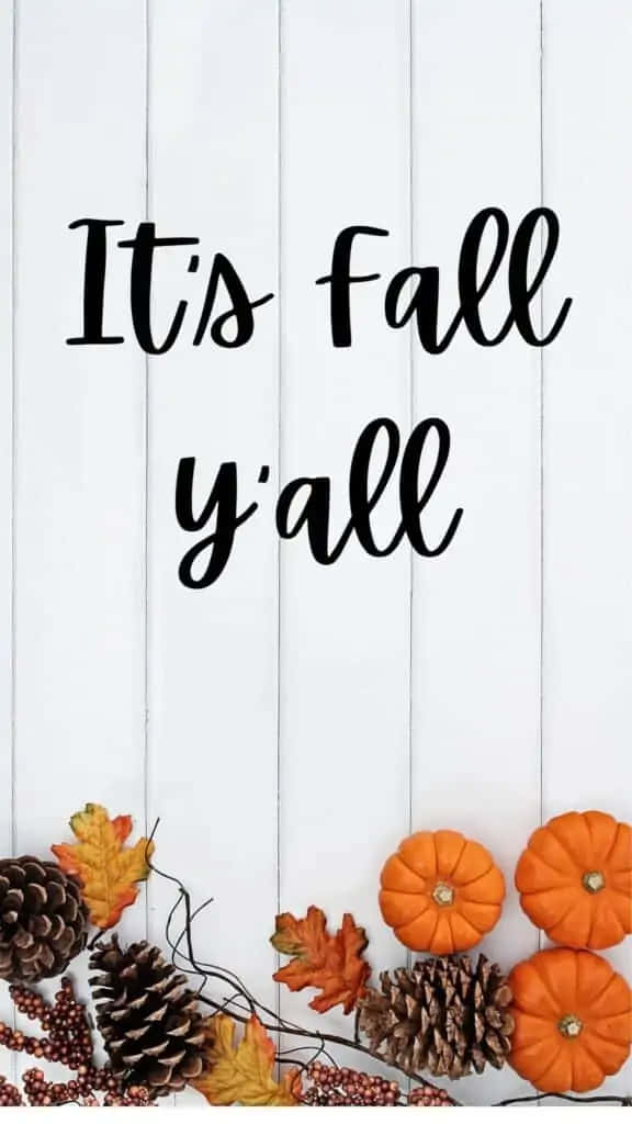 Simple Fall Pinecones Pumpkins Background