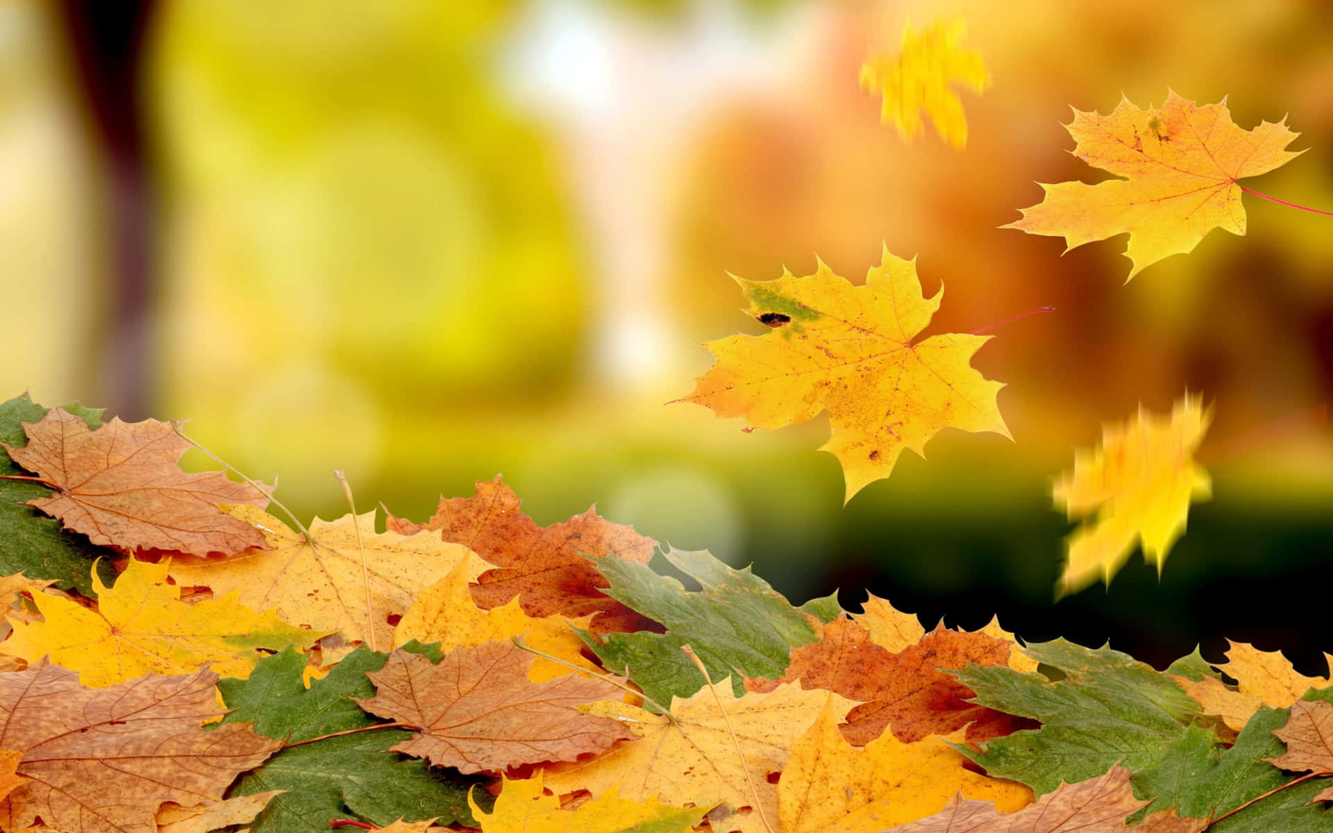 Simple Fall Yellow And Green Background