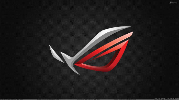 Simple Gray, Black, And White Asus Rog Logo