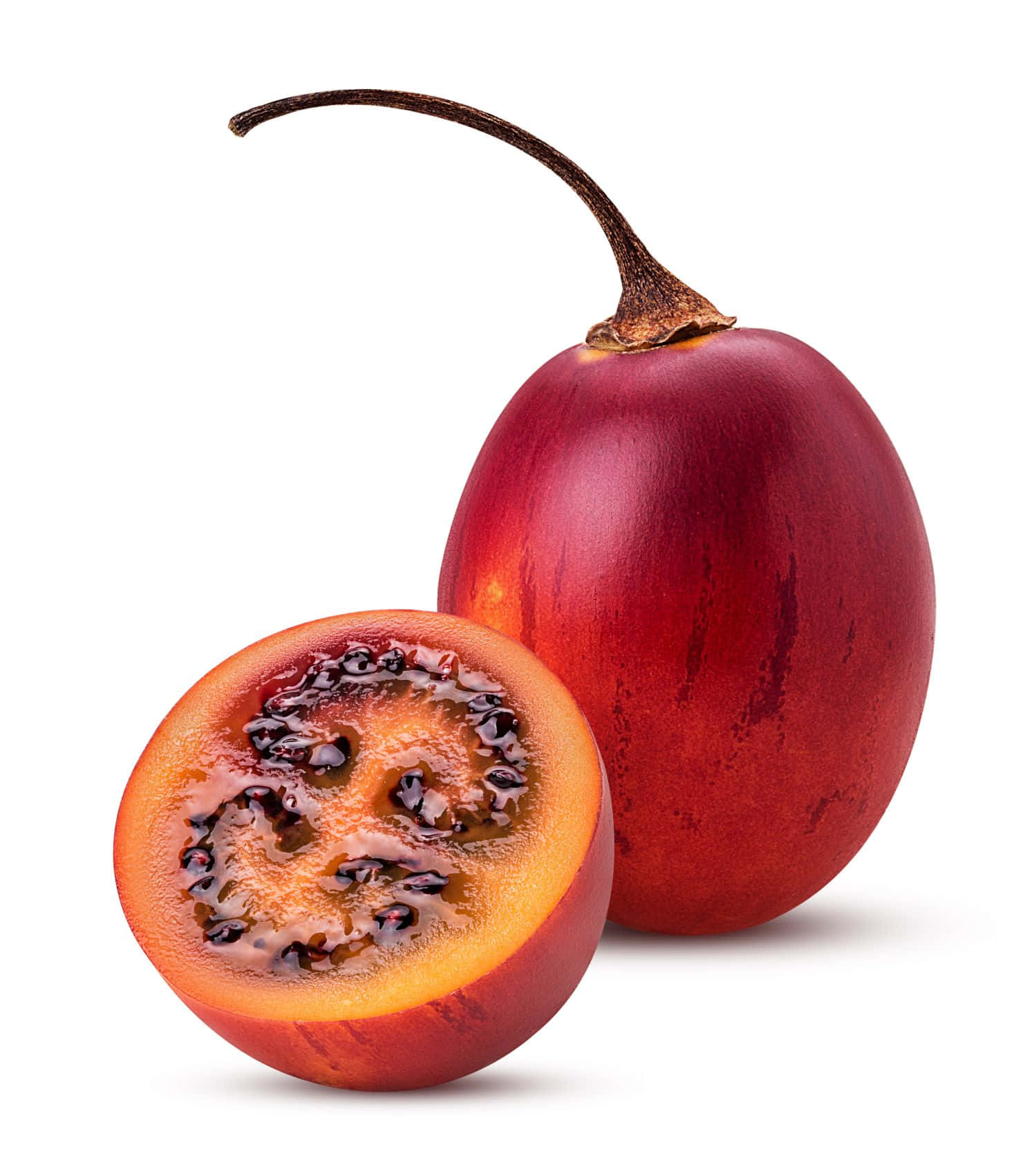 Simple Little Red Tamarillo Photography