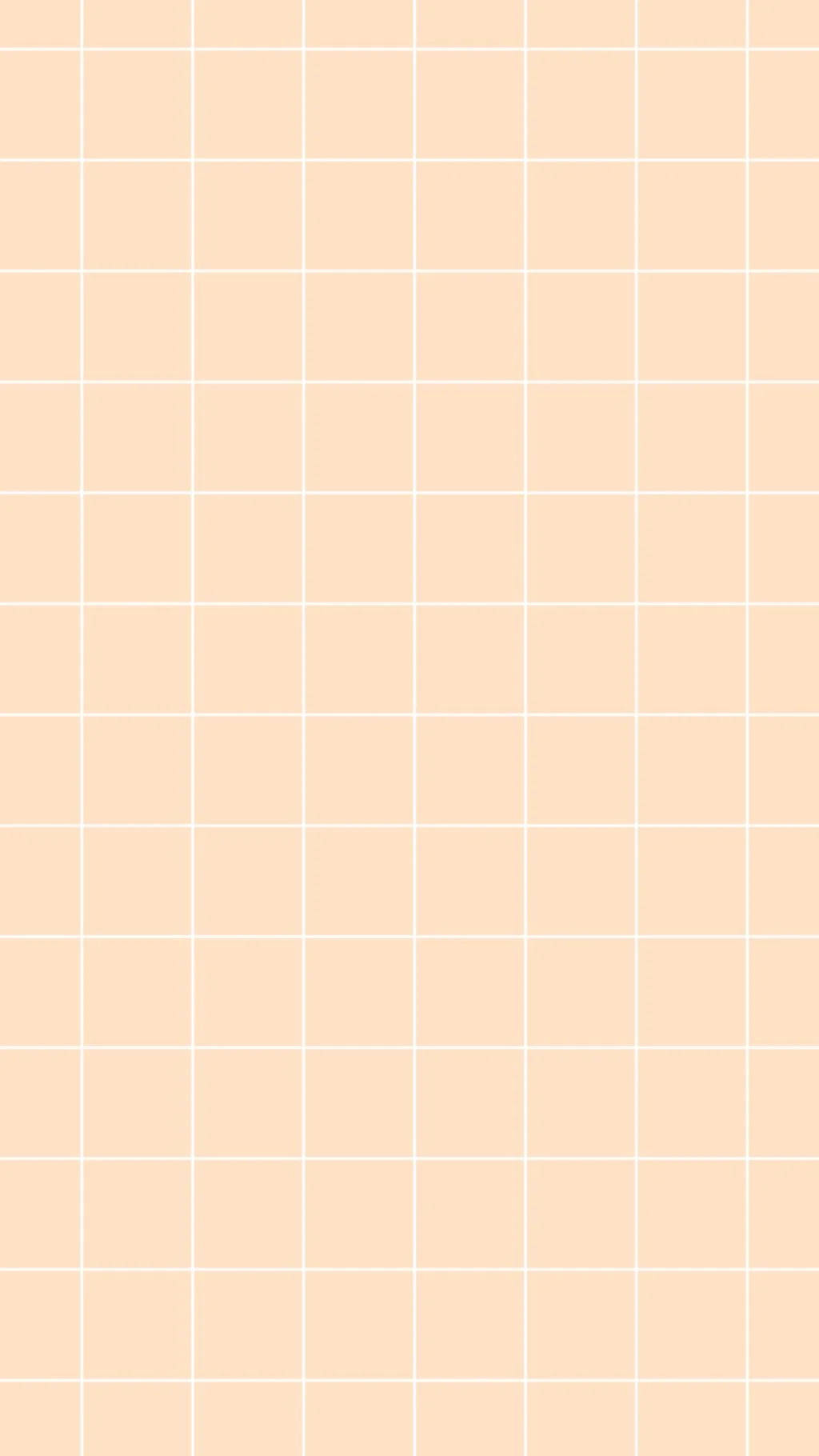 Simple Peach And White Grid Aesthetic Background