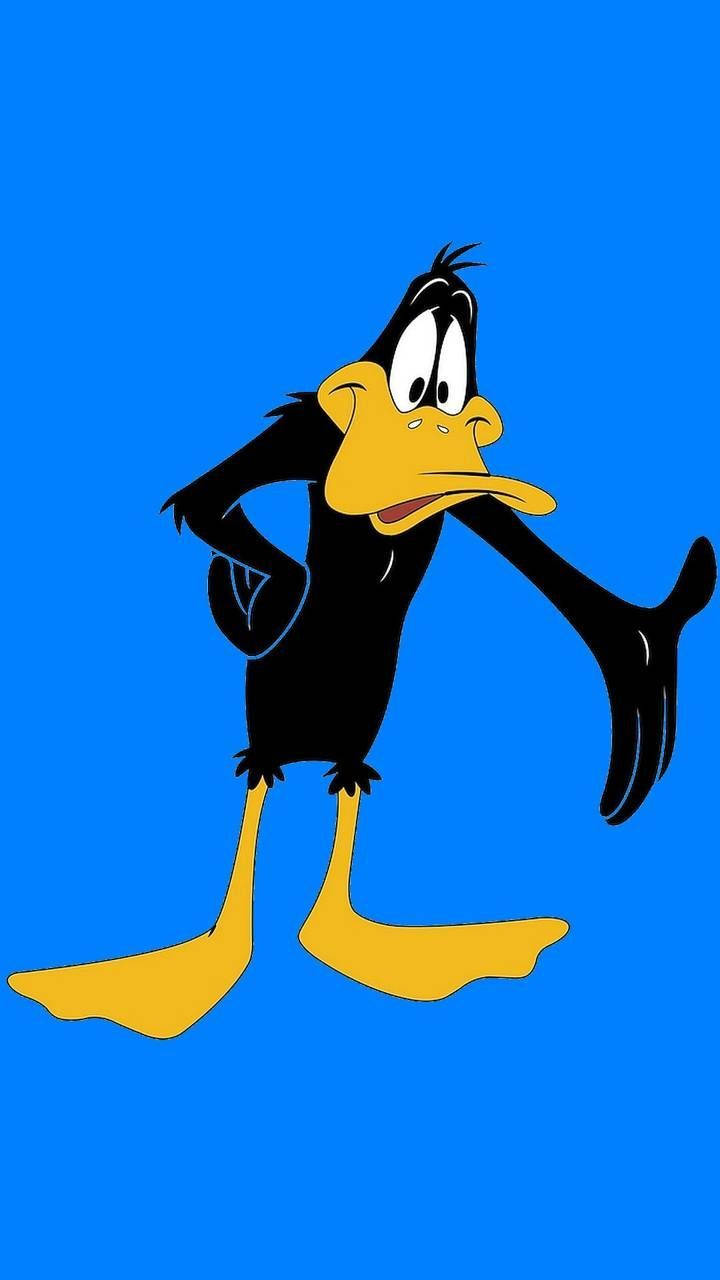 Simple Photo Of Daffy Duck Background