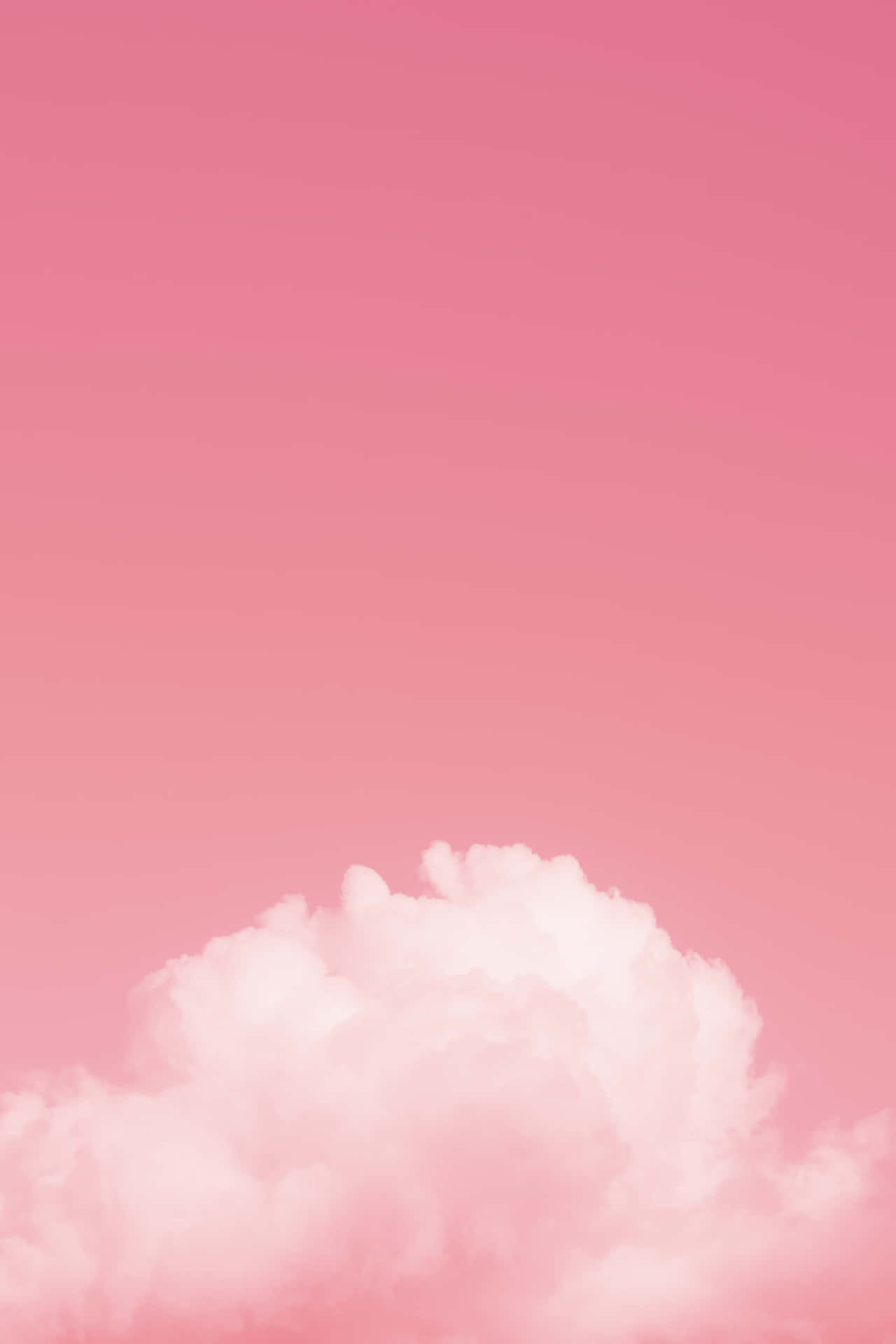 Simple Pink Cloud Background