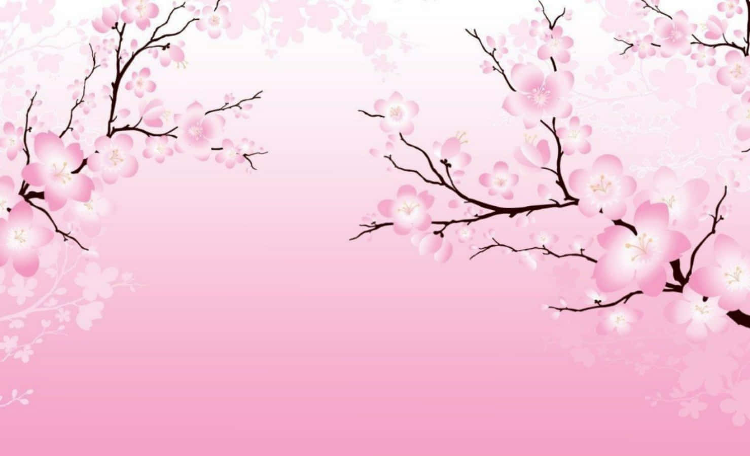 Simple Pink Sakura Anime Flowers