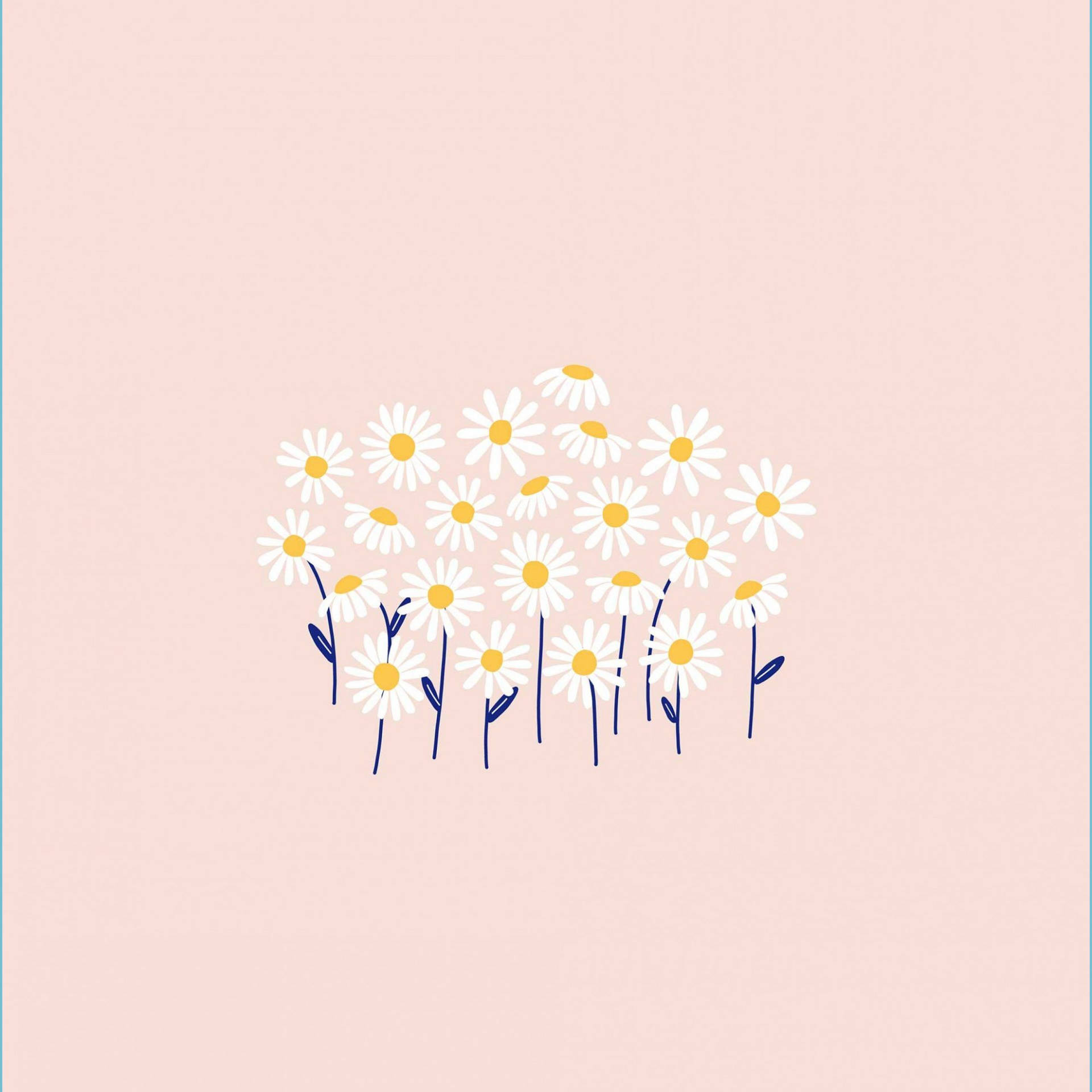 Simple Pink White Daisy Aesthetic Art Background