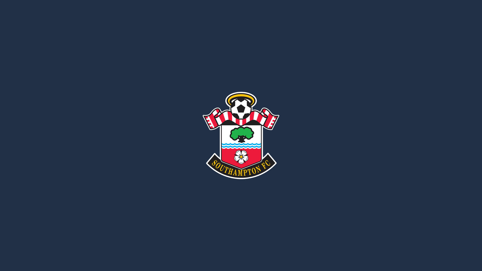 Simple Southampton Fc Logo Background