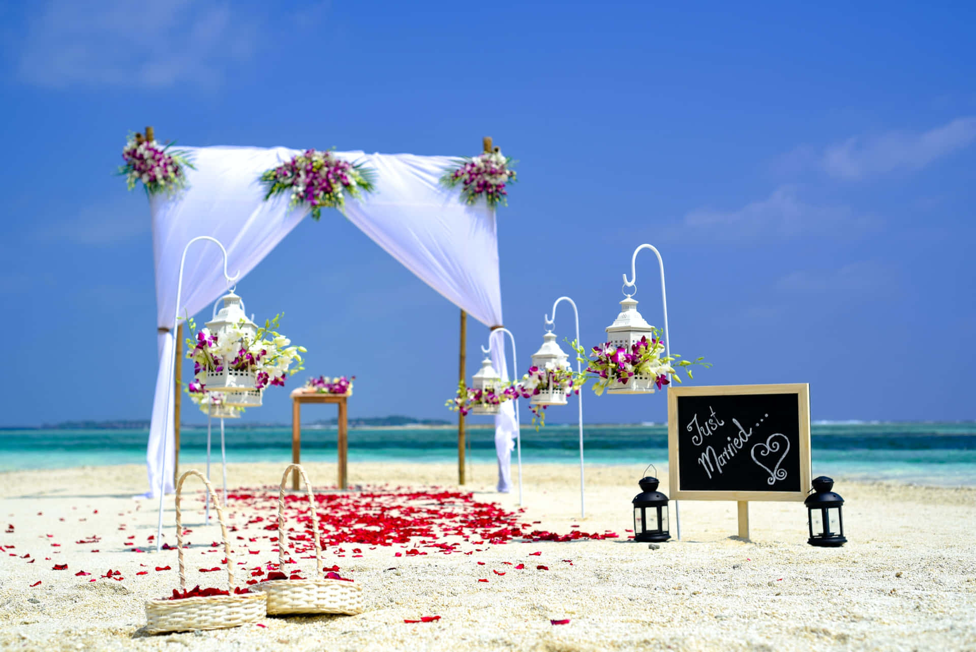 Simple Sunny Beach Wedding Background Background